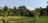 A lush, green landscape featuring a variety of tropical trees and plants. The foreground is dominated by tall palm trees and neatly trimmed grass on a gently sloping hill. In the background, there is a dense forested area with a mix of different tree types under a clear blue sky.