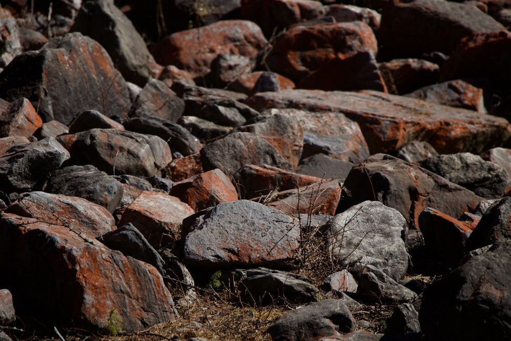 a group of rocks