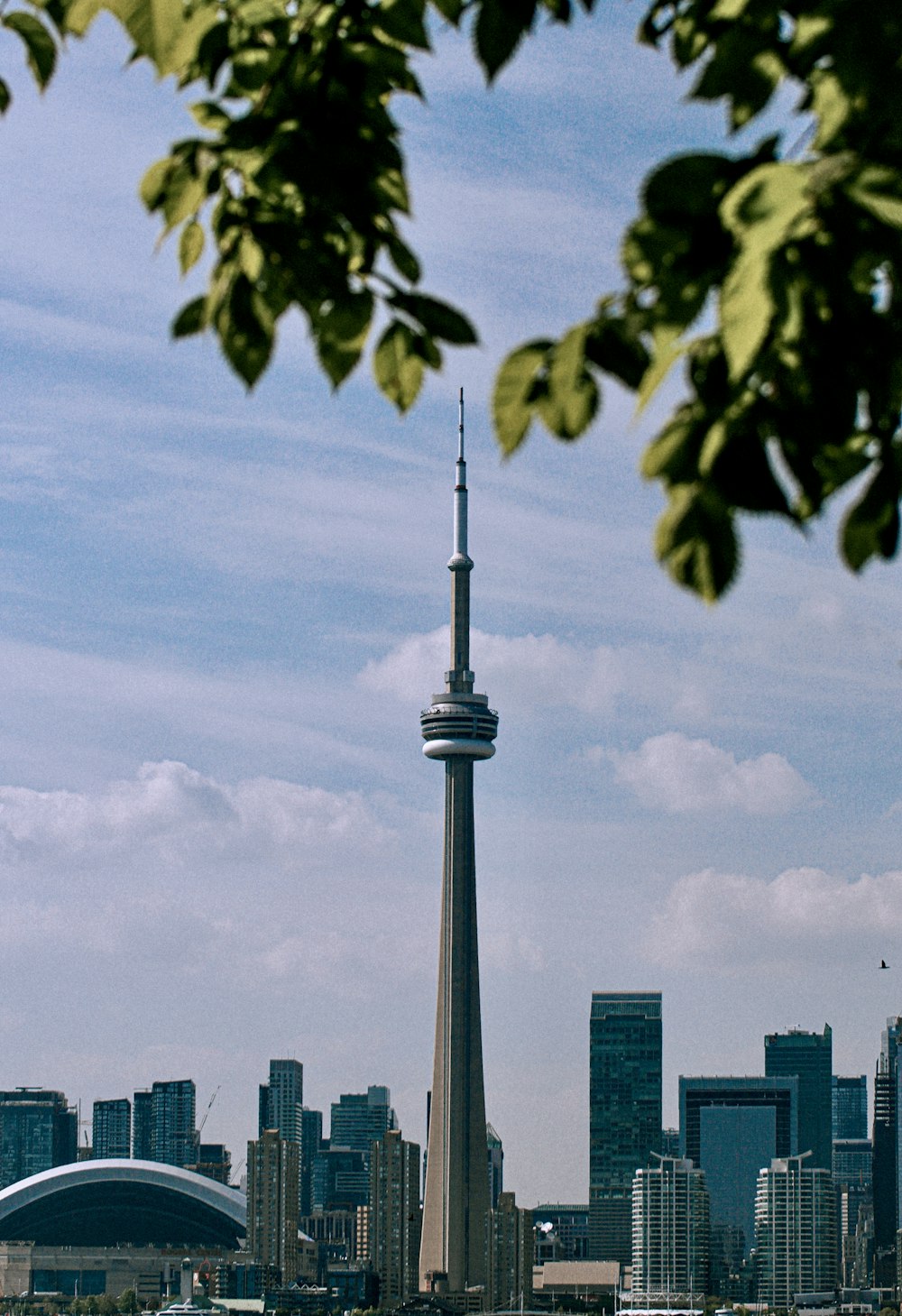 a city skyline with a tall tower