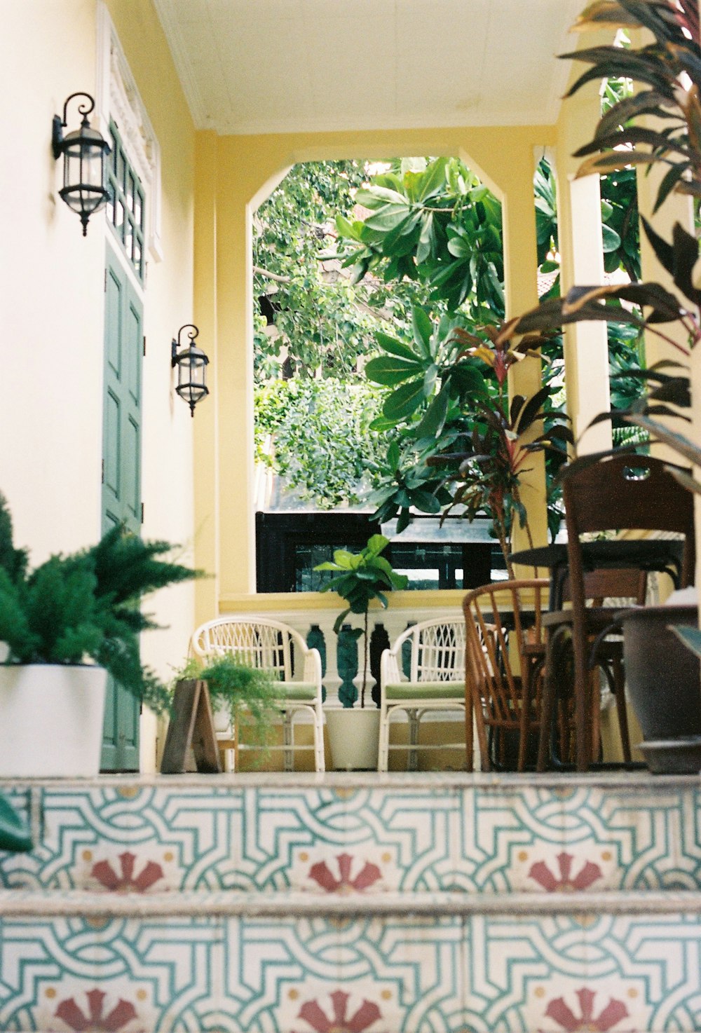 a table with chairs and plants in front of a window