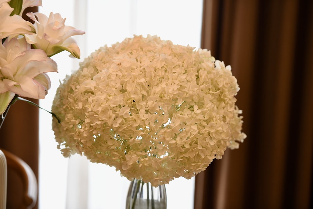 a vase with white flowers