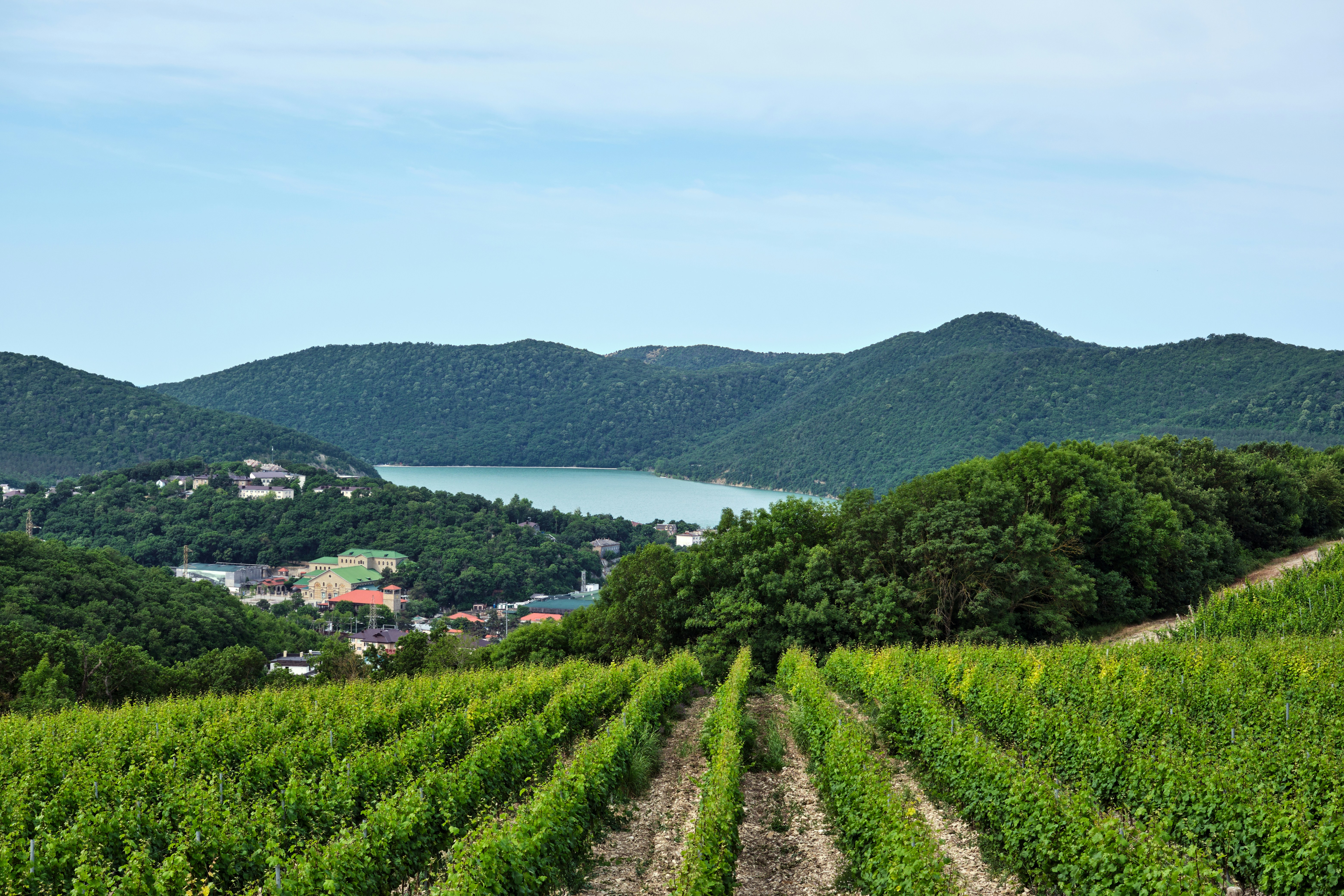 a landscape with trees and a body of water in the background