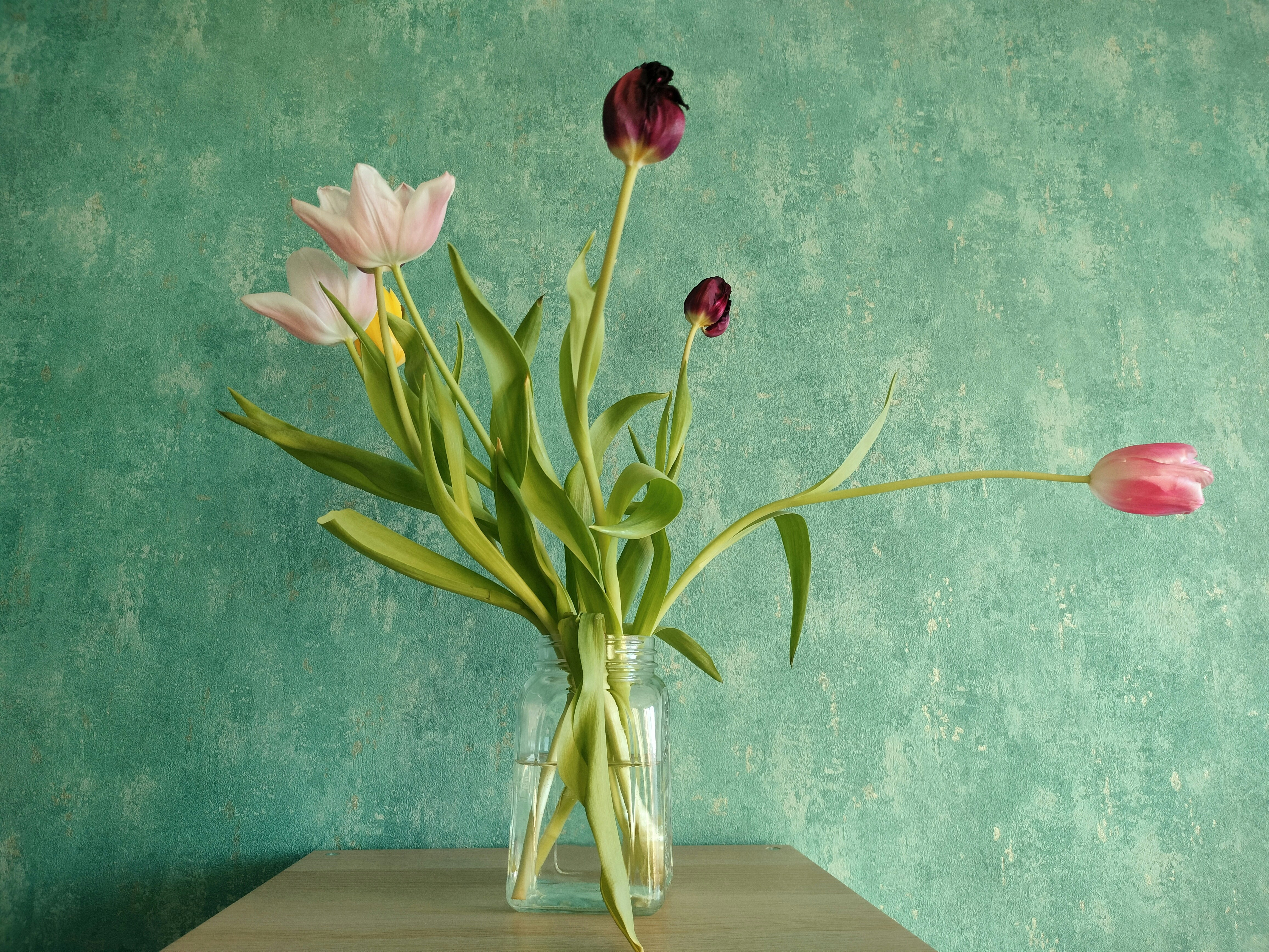 Photo by anechka1605