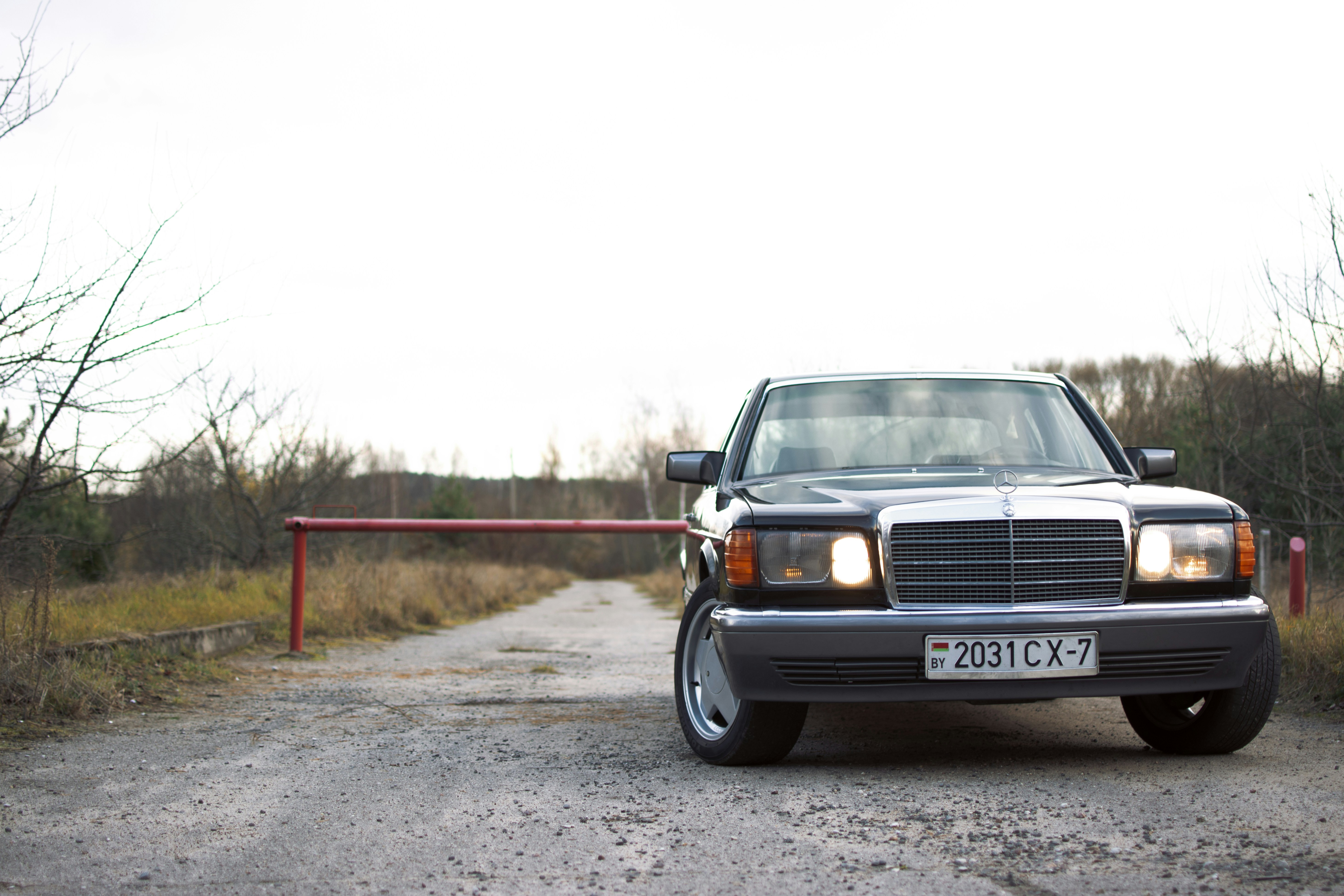 Photo by vadutskevich