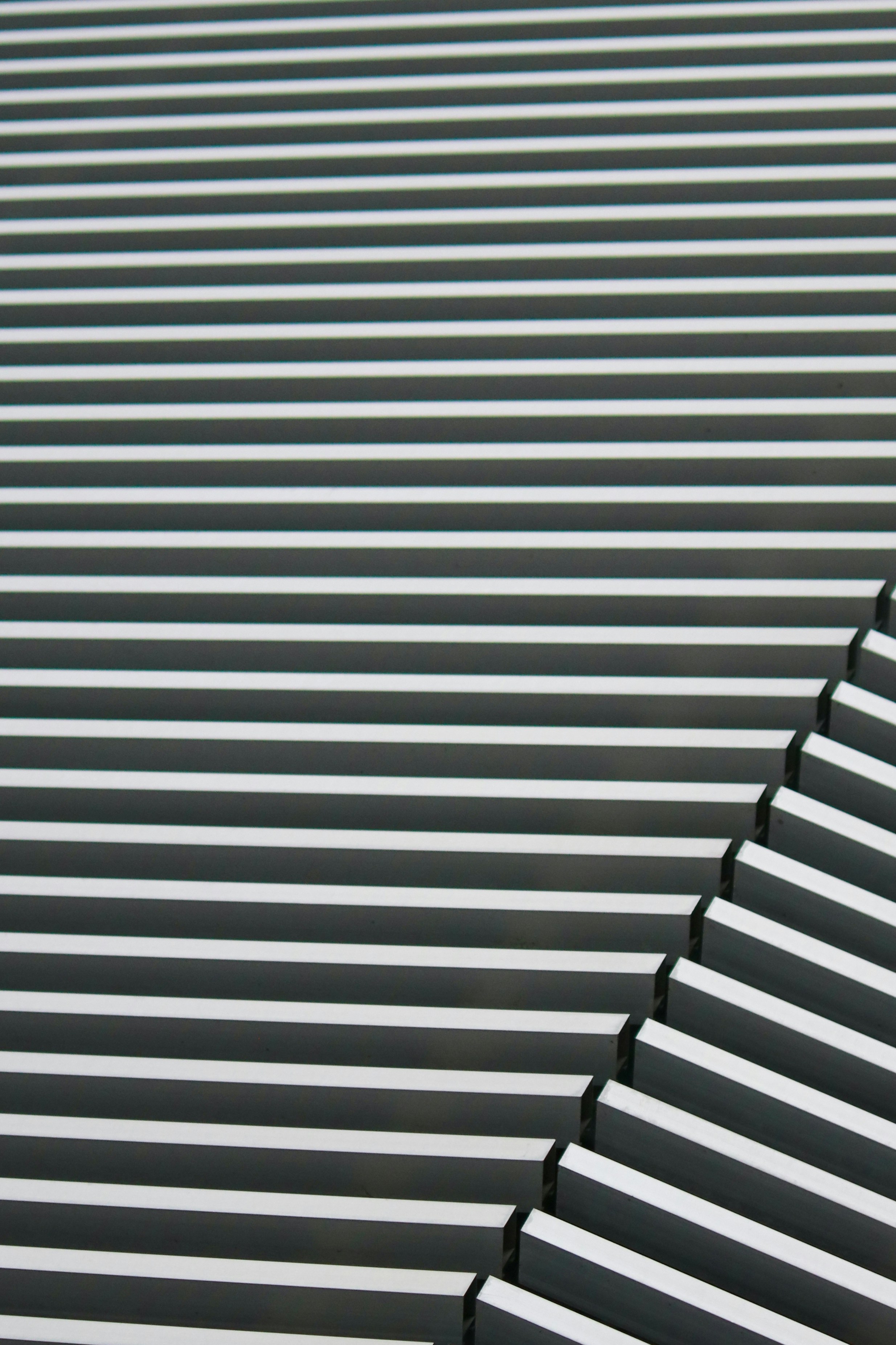 Photo by hiroyukisenn