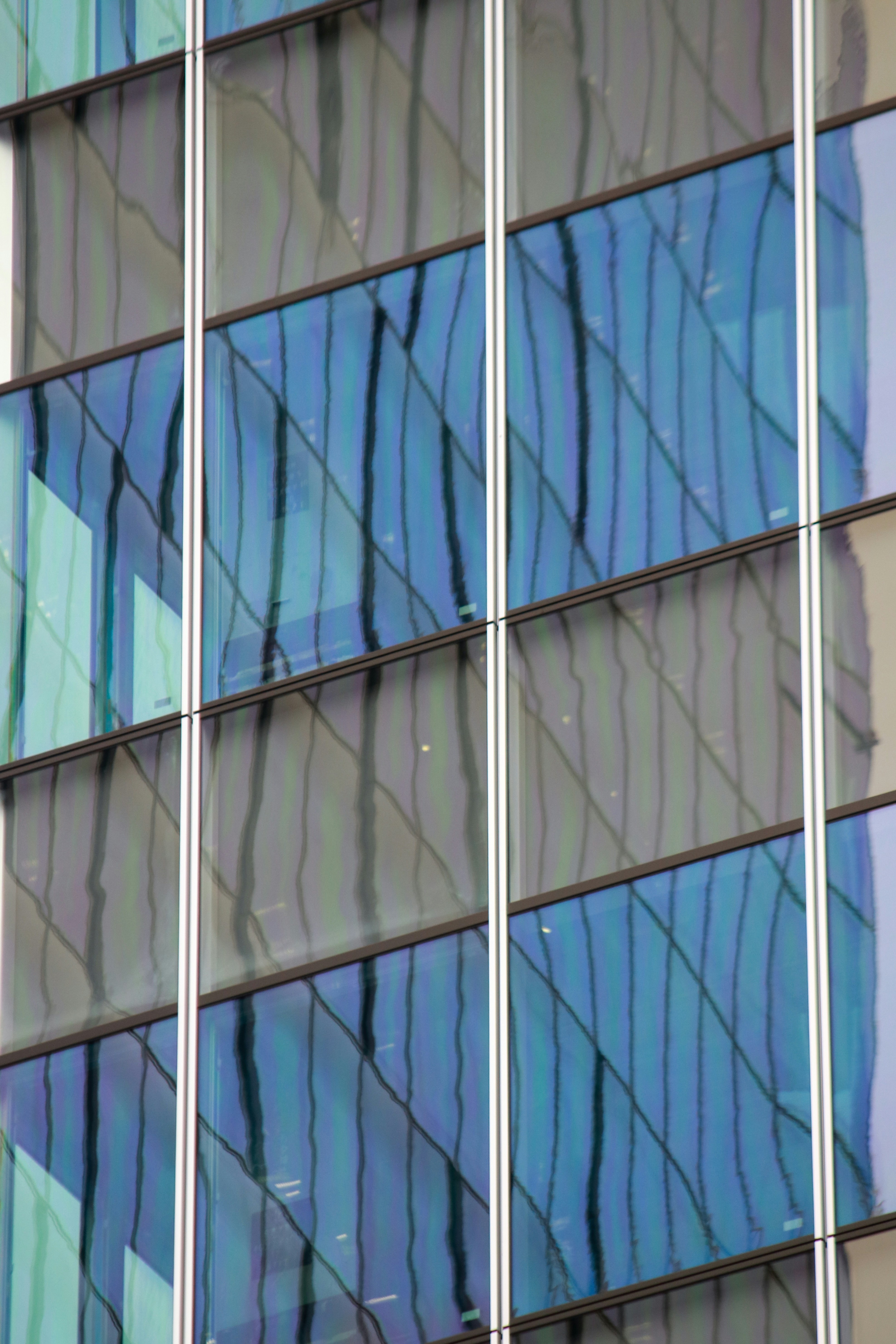 Technician repairing a large commercial window, highlighting professional glass repair services.