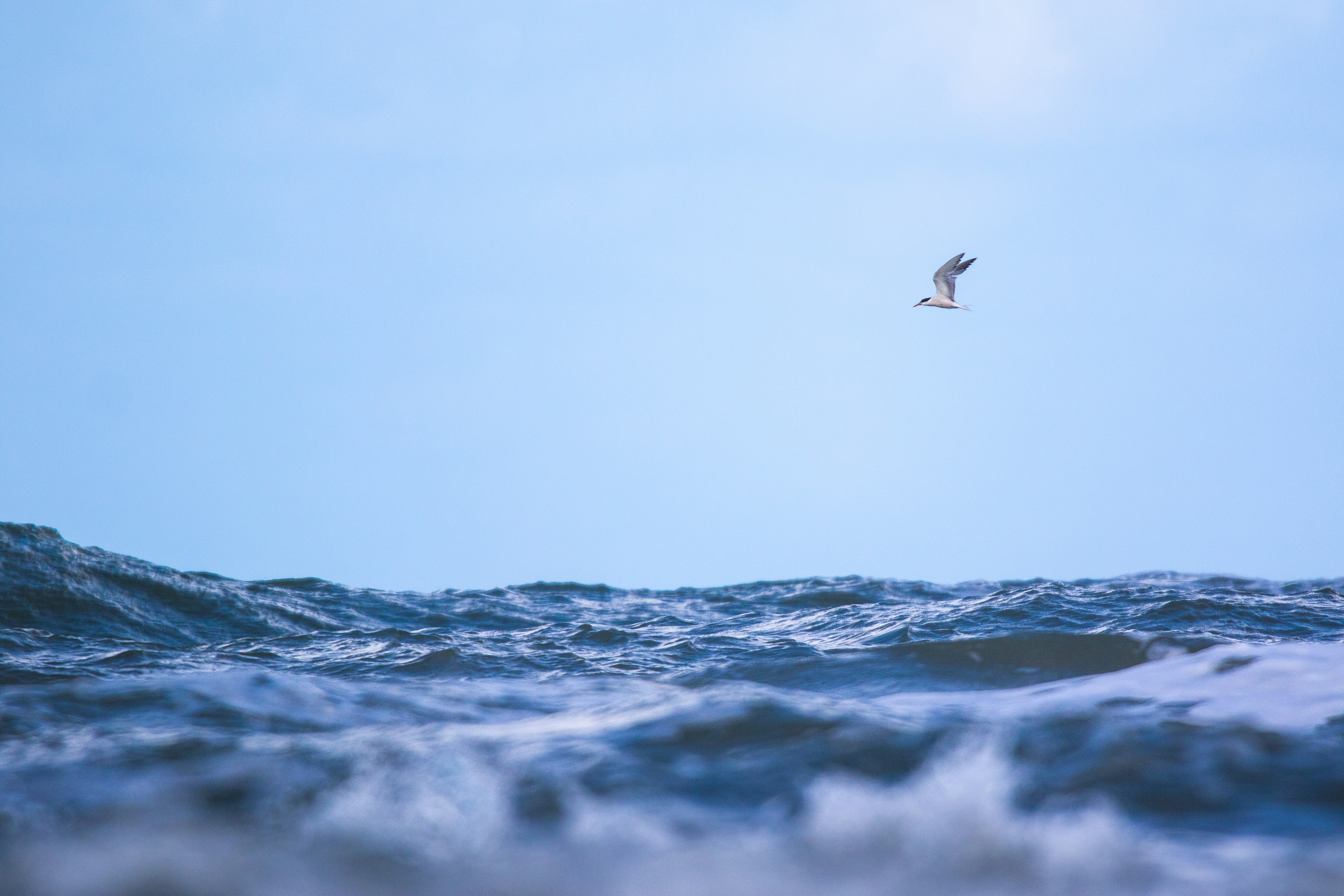 Photo by mathijsdekoning