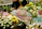 A vibrant bouquet shop featuring an array of colorful flowers, including chrysanthemums, lilies, and baby's breath. Bouquets are arranged neatly, displaying hues of pink, blue, yellow, and white. A small sign with Chinese characters and pricing information is visible. The setting is bustling and lively, with numerous arrangements ready for purchase.