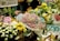 A vibrant bouquet shop featuring an array of colorful flowers, including chrysanthemums, lilies, and baby's breath. Bouquets are arranged neatly, displaying hues of pink, blue, yellow, and white. A small sign with Chinese characters and pricing information is visible. The setting is bustling and lively, with numerous arrangements ready for purchase.
