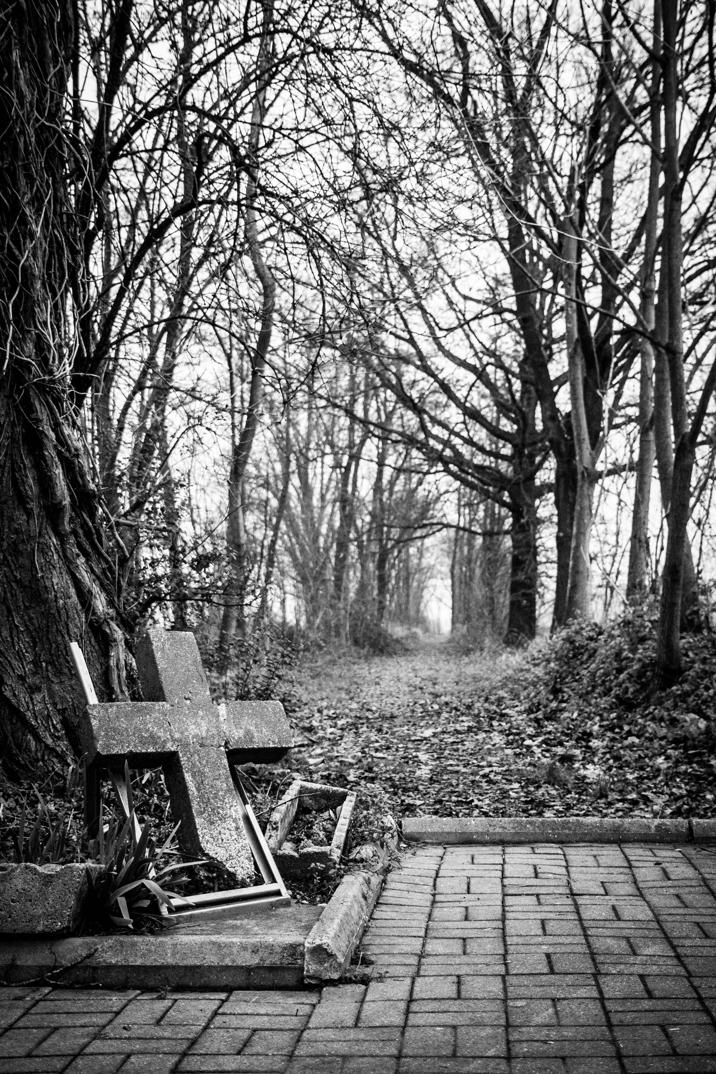 a bench sits unoccupied