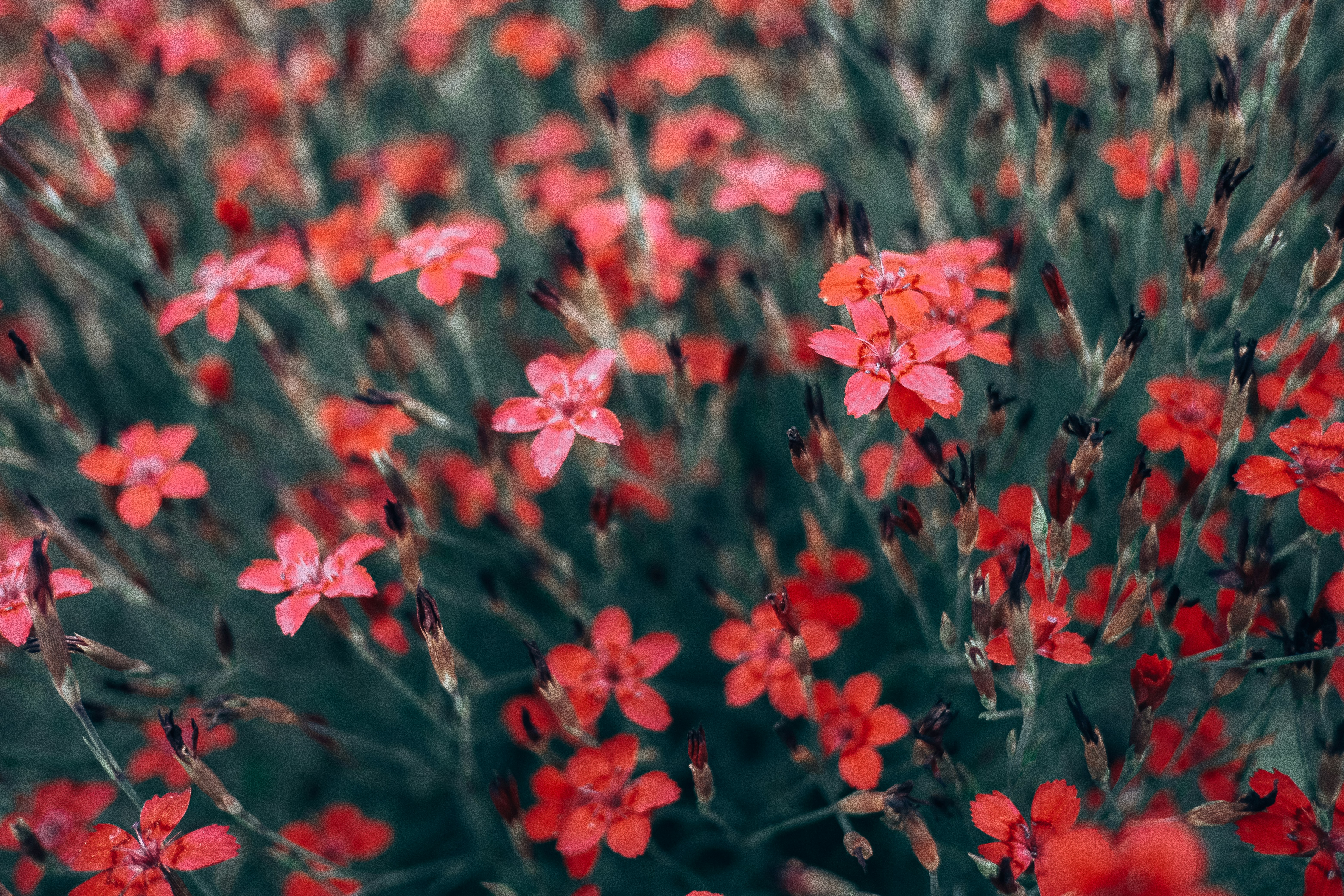 Photo by egorkomarov