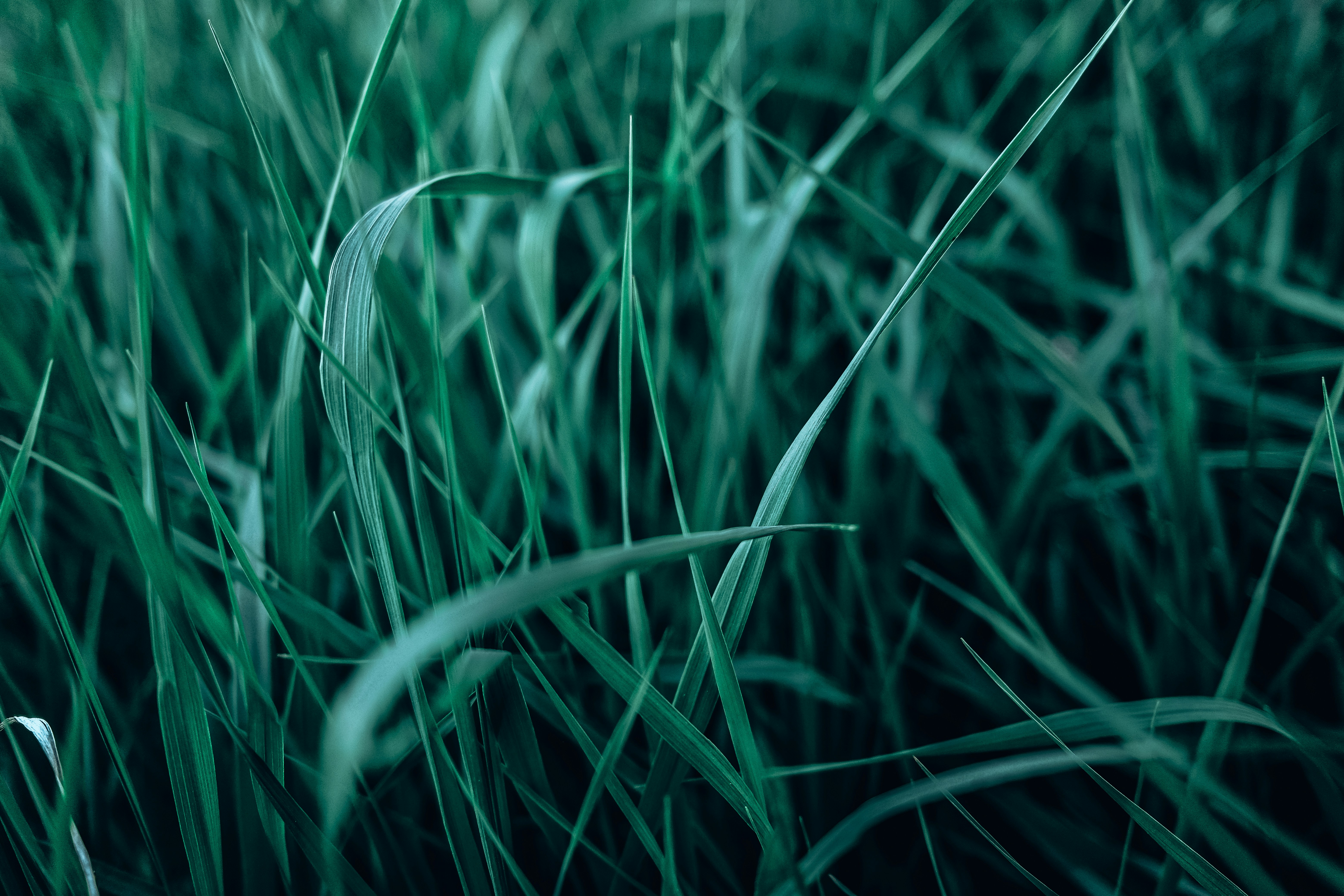 Photo by egorkomarov