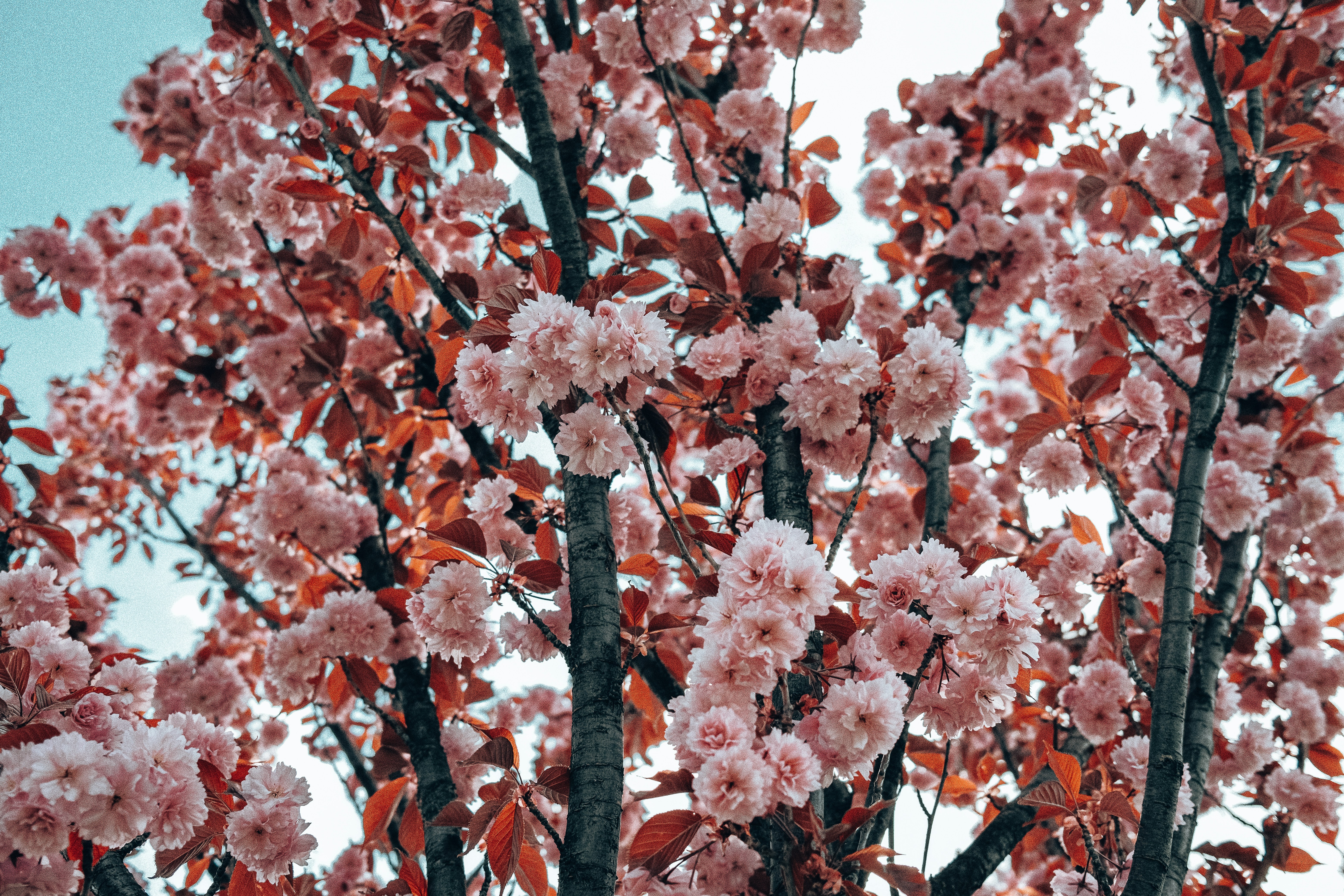 Photo by egorkomarov