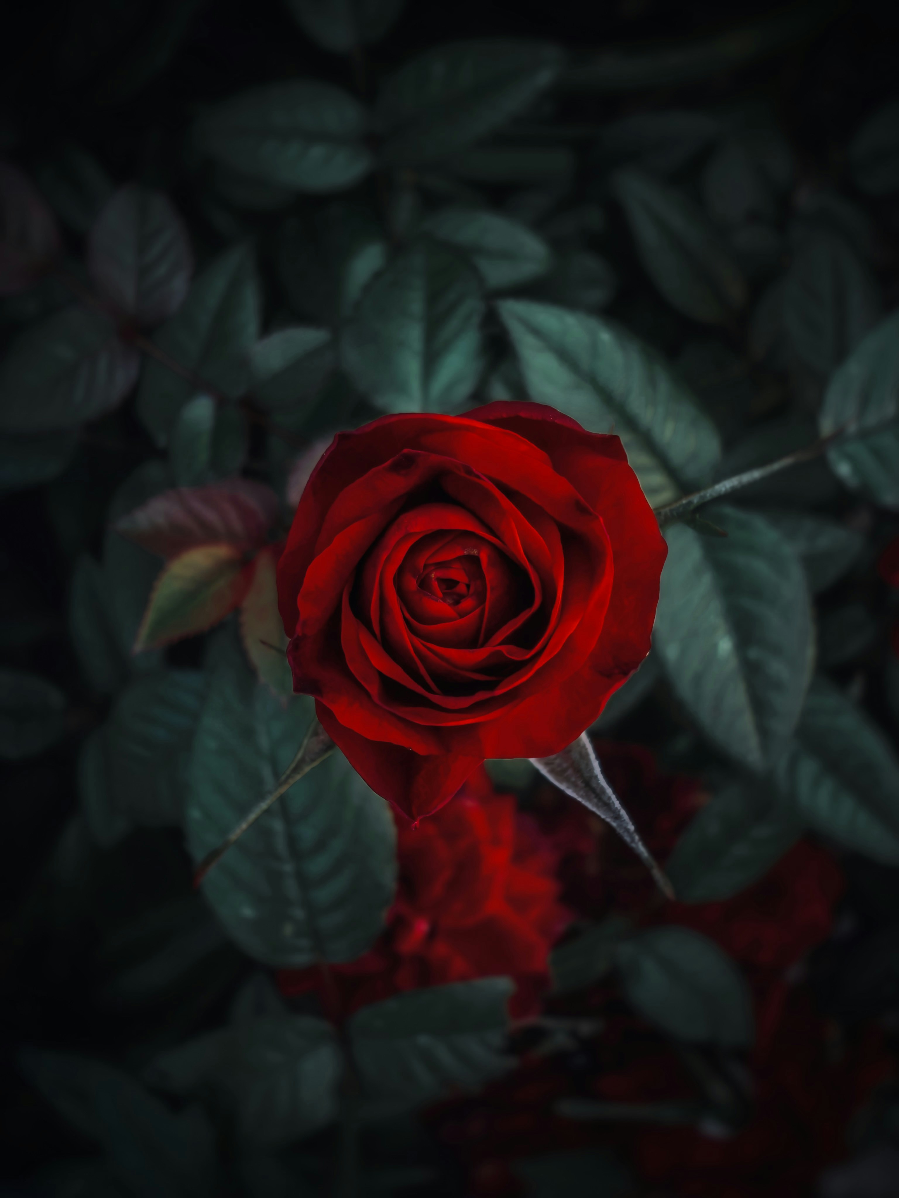 Photo by eugene_golovesov