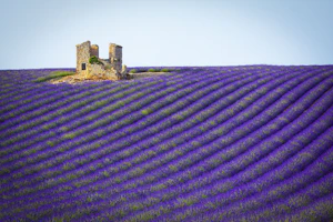 Aix-en-Provence