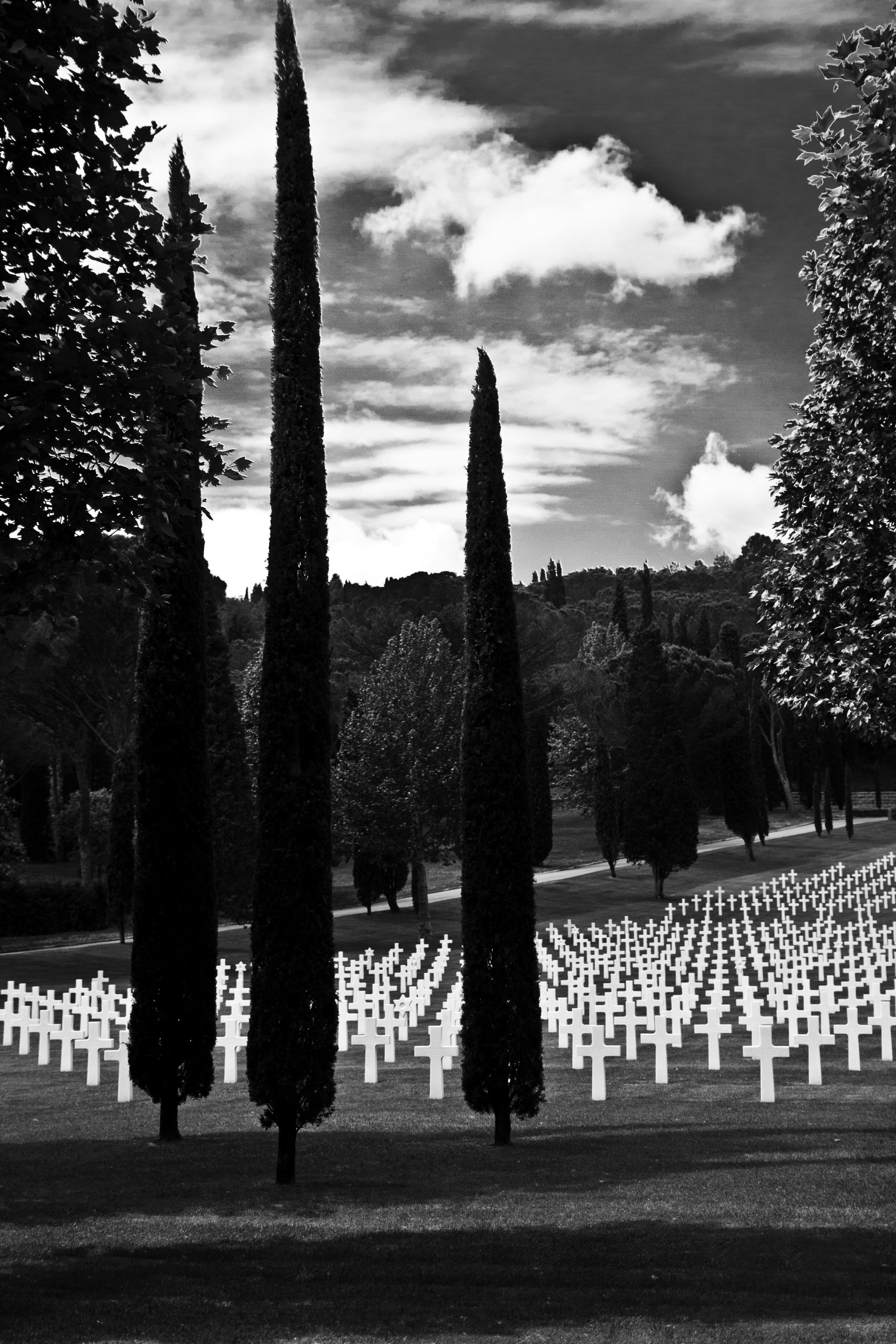 a cemetery with trees