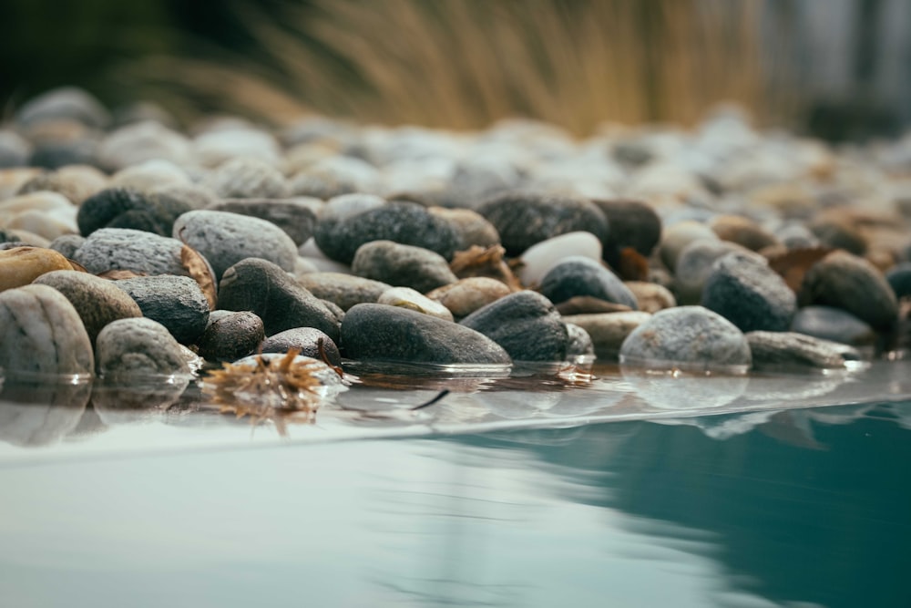 a close up of a rock