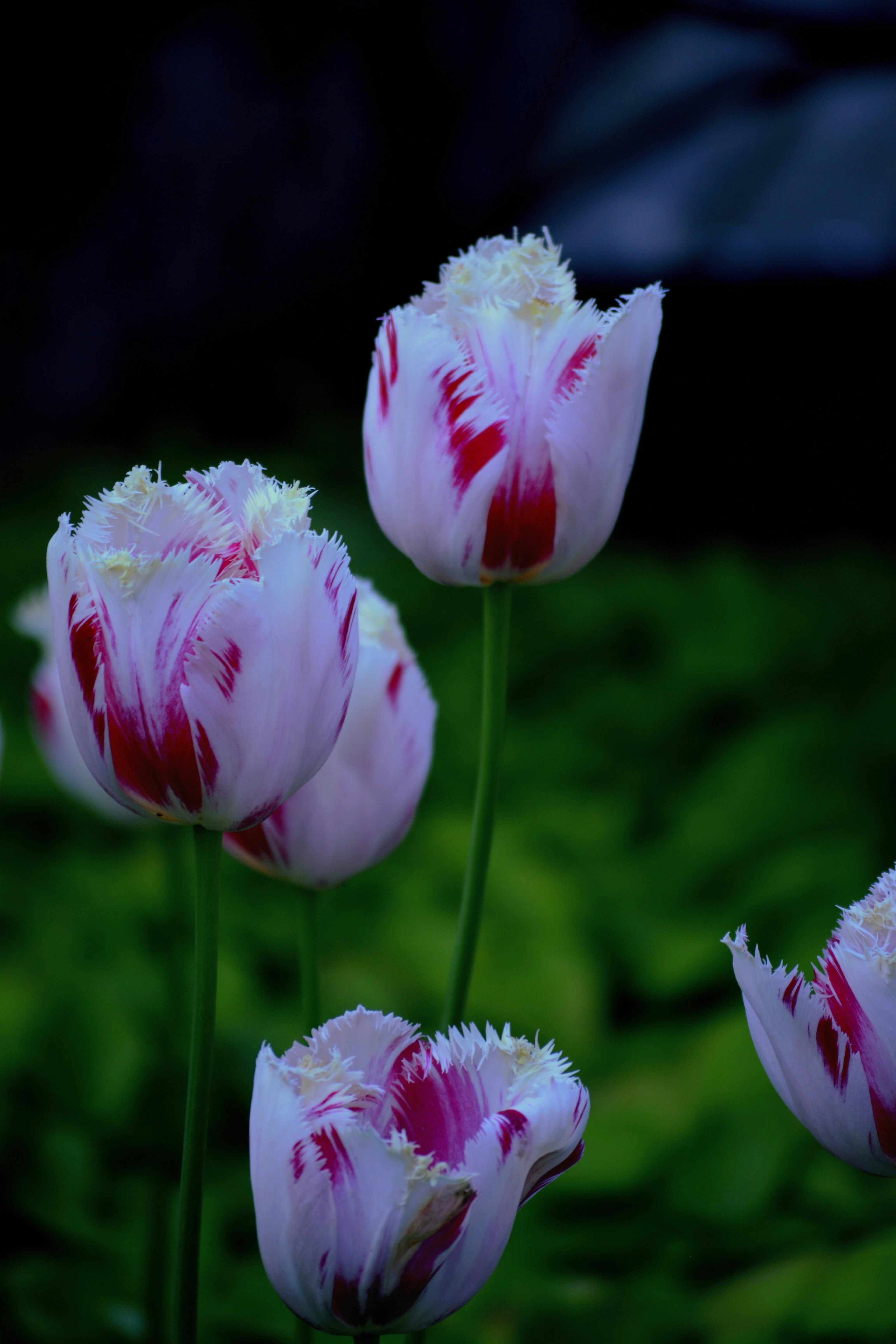 Photo by vipinyb