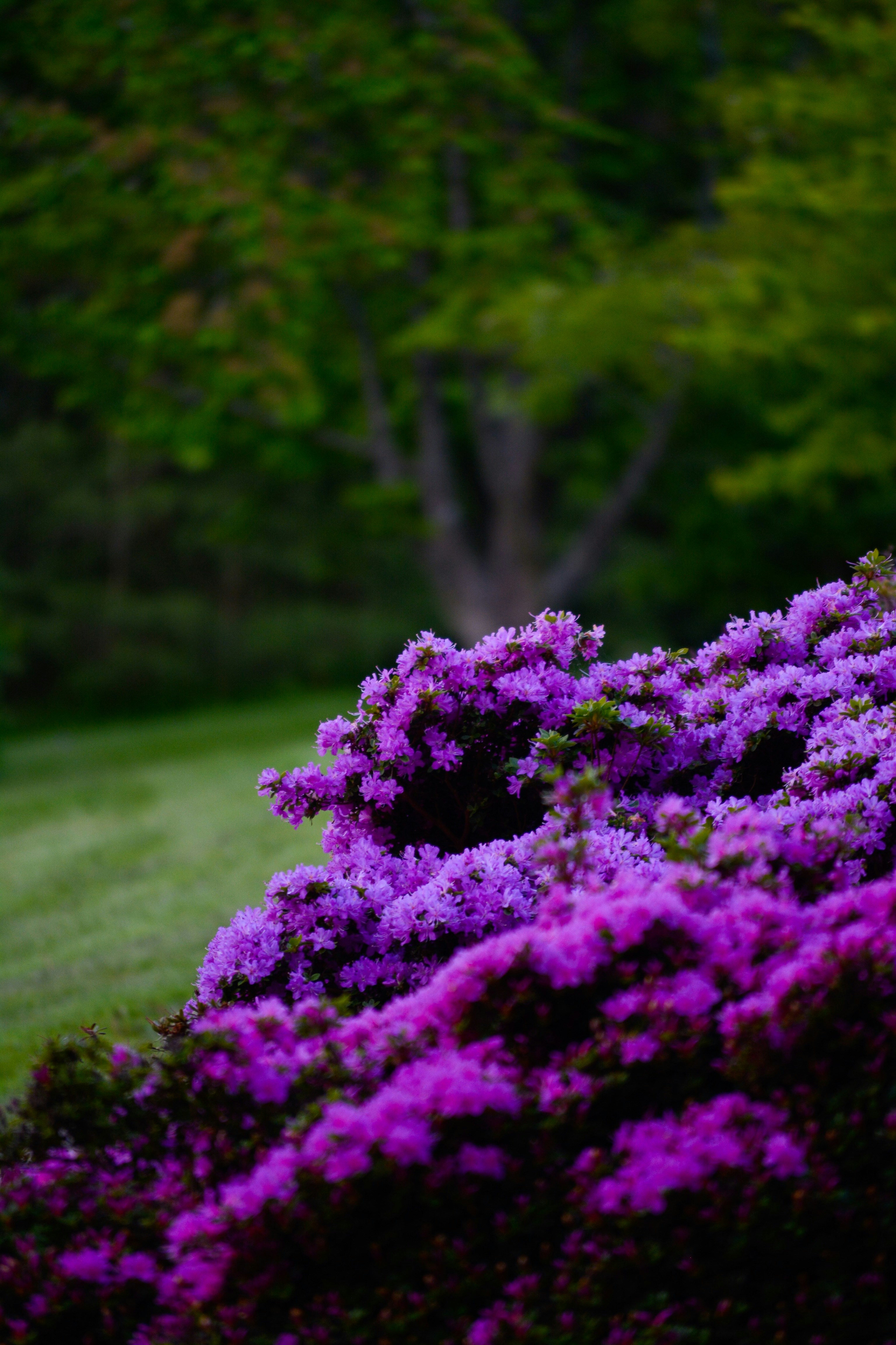 Photo by vipinyb