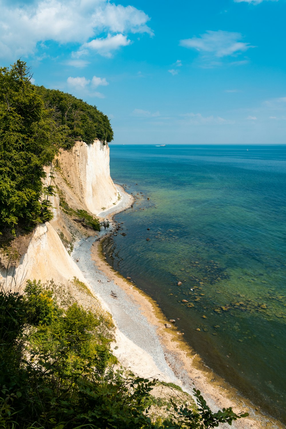 a beach with a cliff and trees