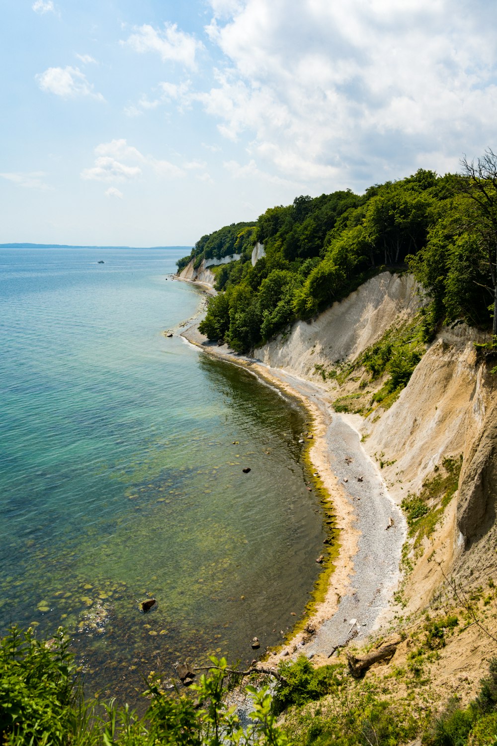 une plage arborée et un plan d’eau