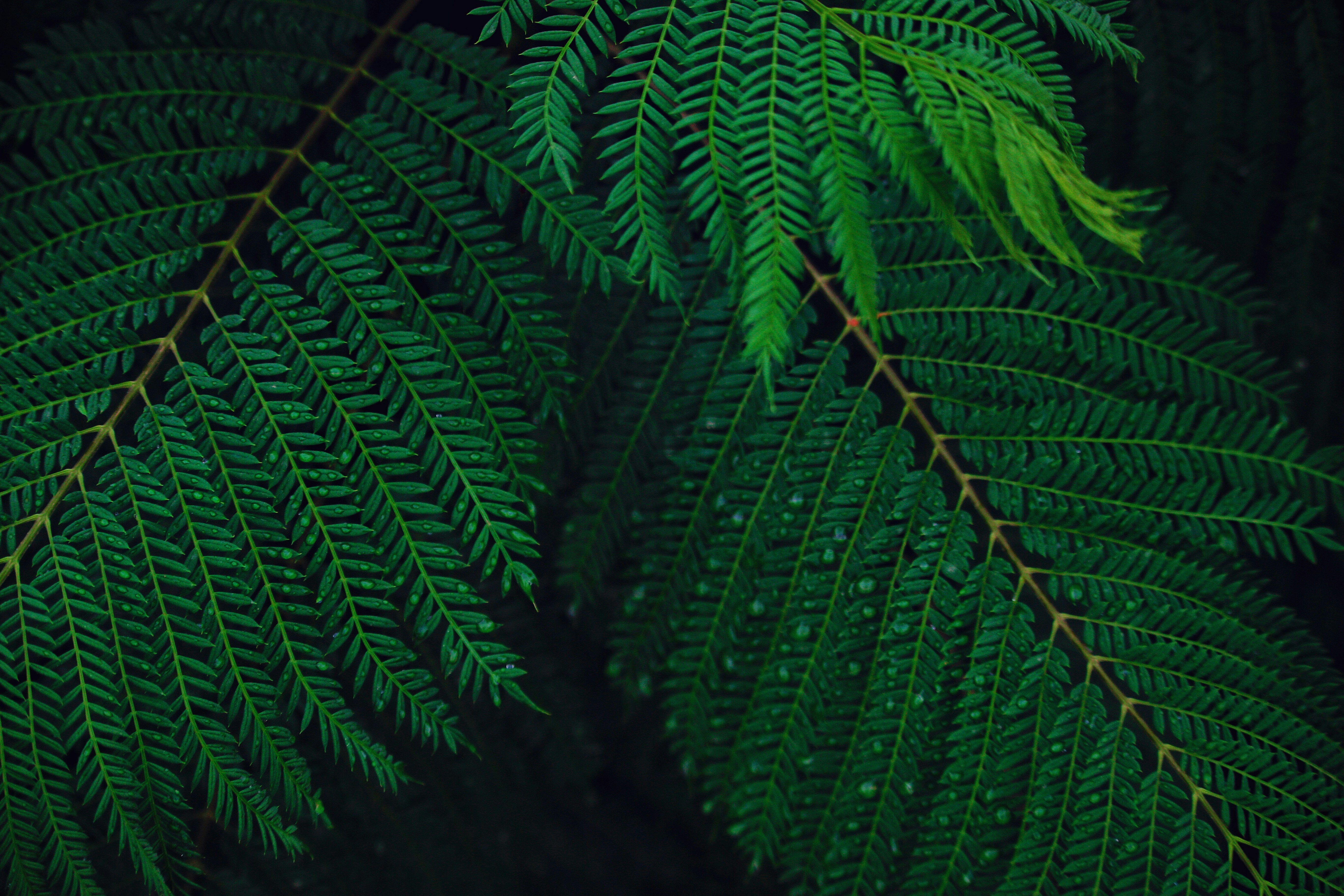 Photo by 7amad7arisi