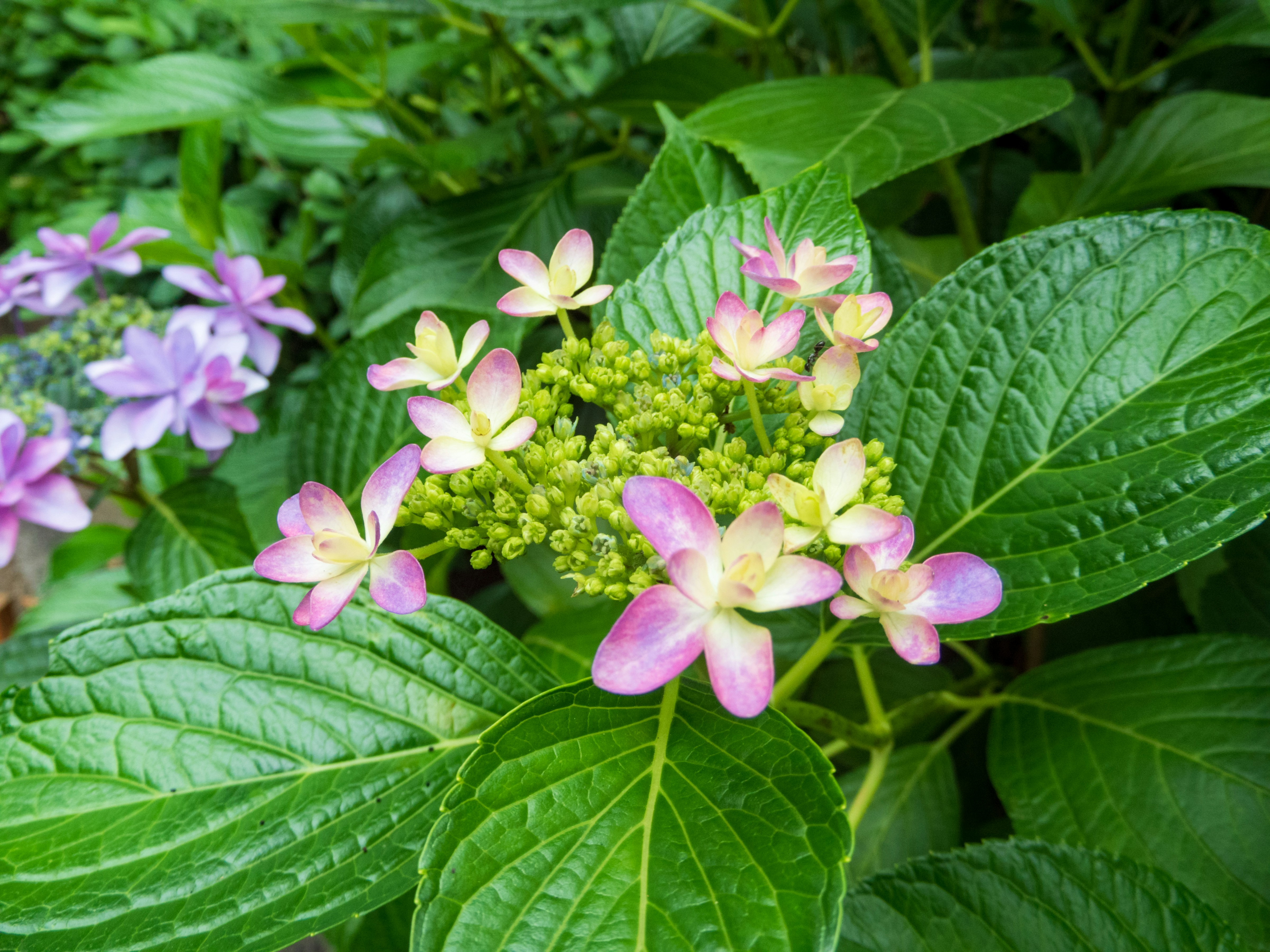 Photo by heppoko_yama