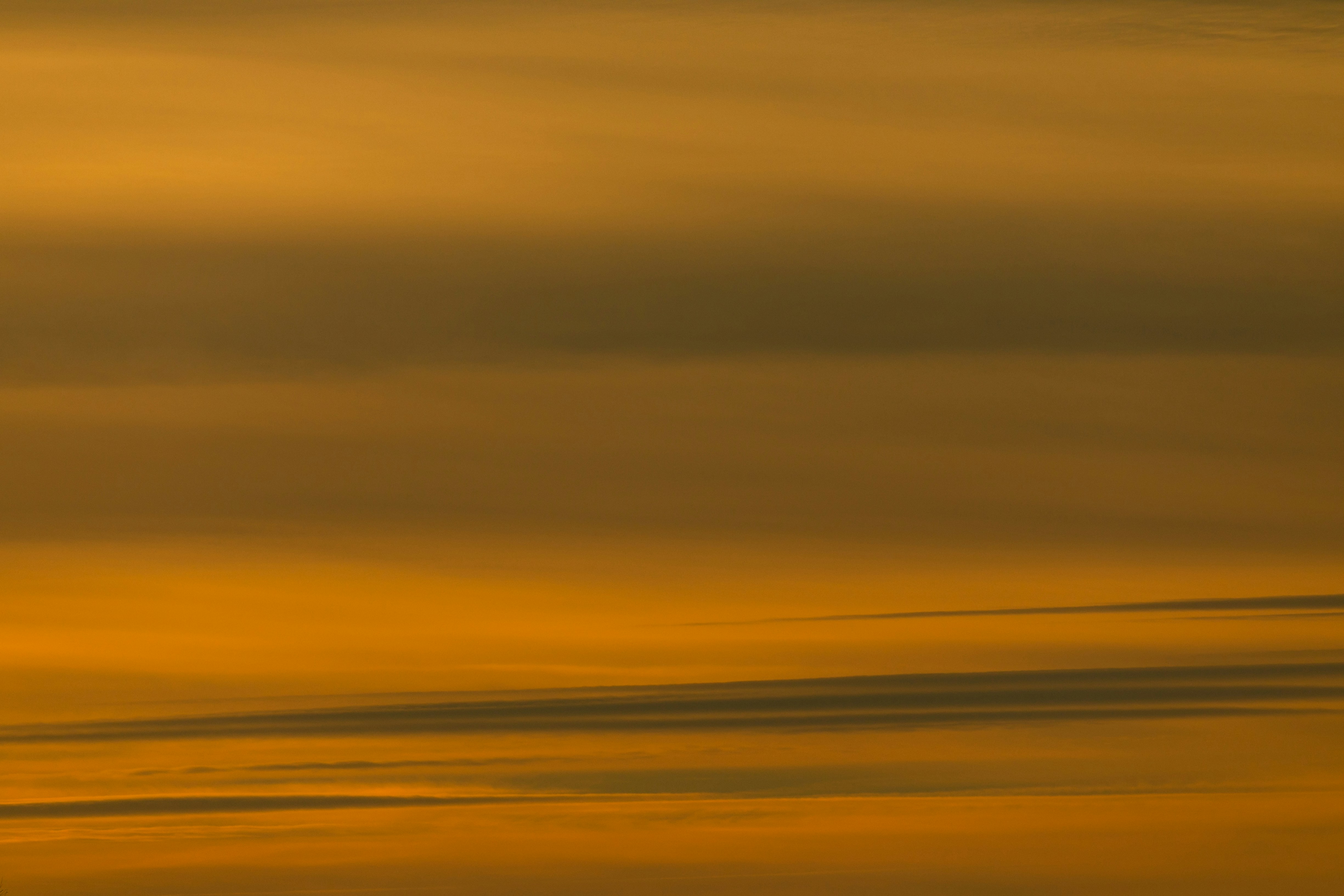 Photo by voznenko_artur