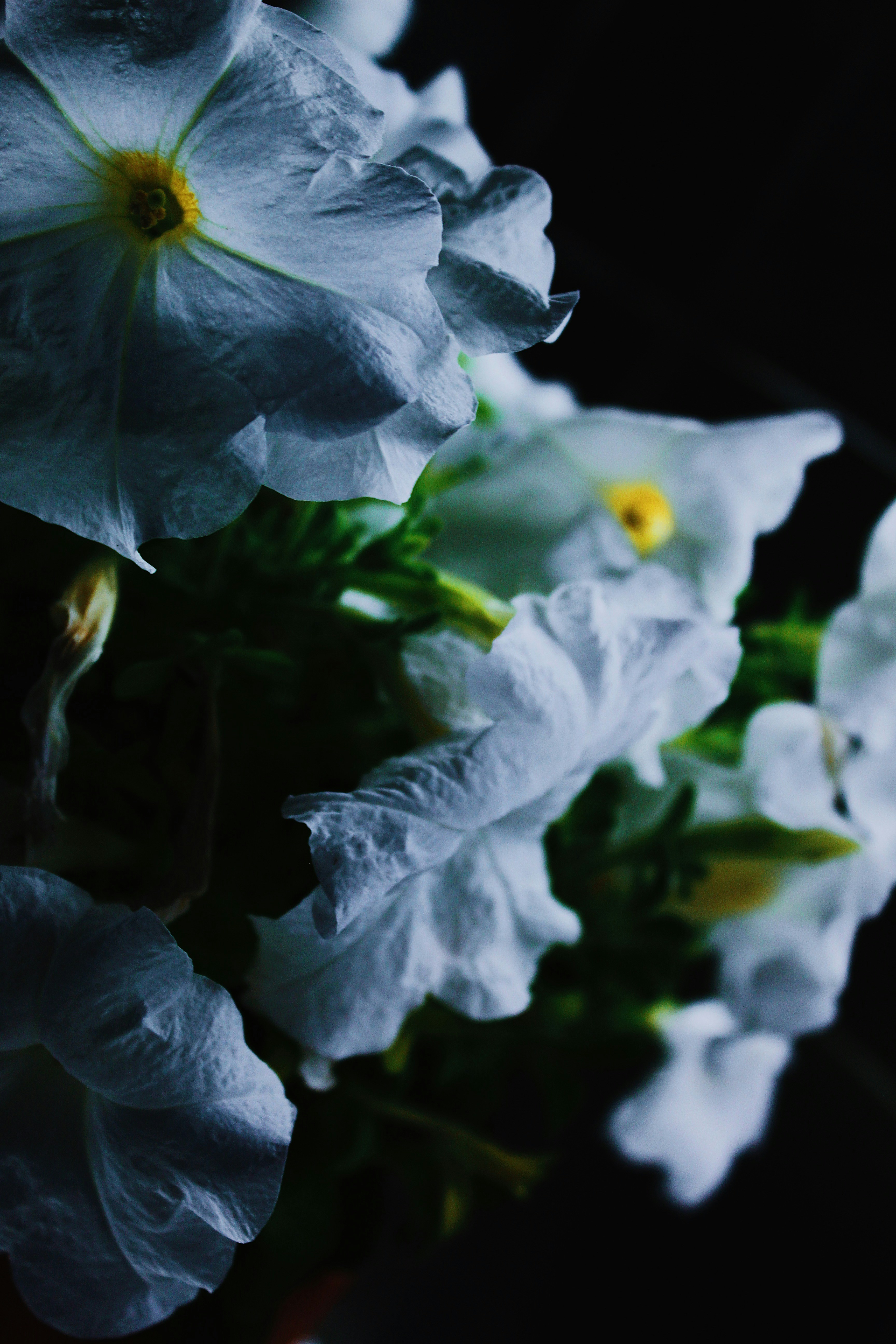 Photo by enricofumagalli