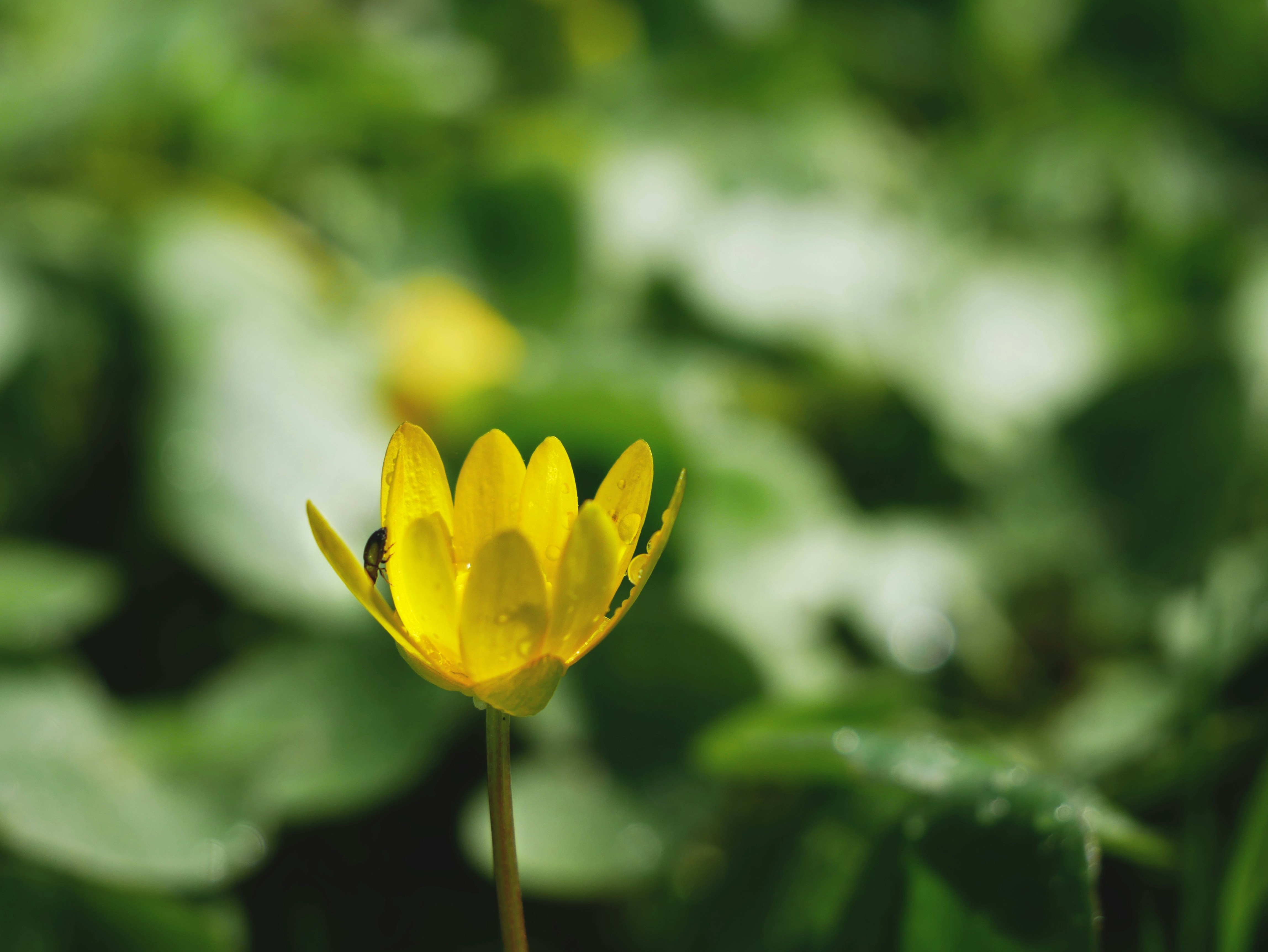 Photo by isabelle_chiara