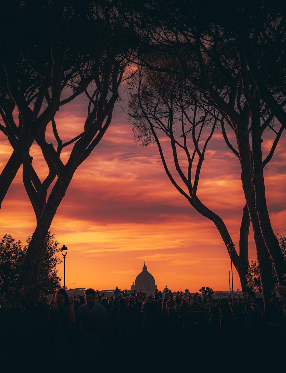 a silhouette of a building and trees