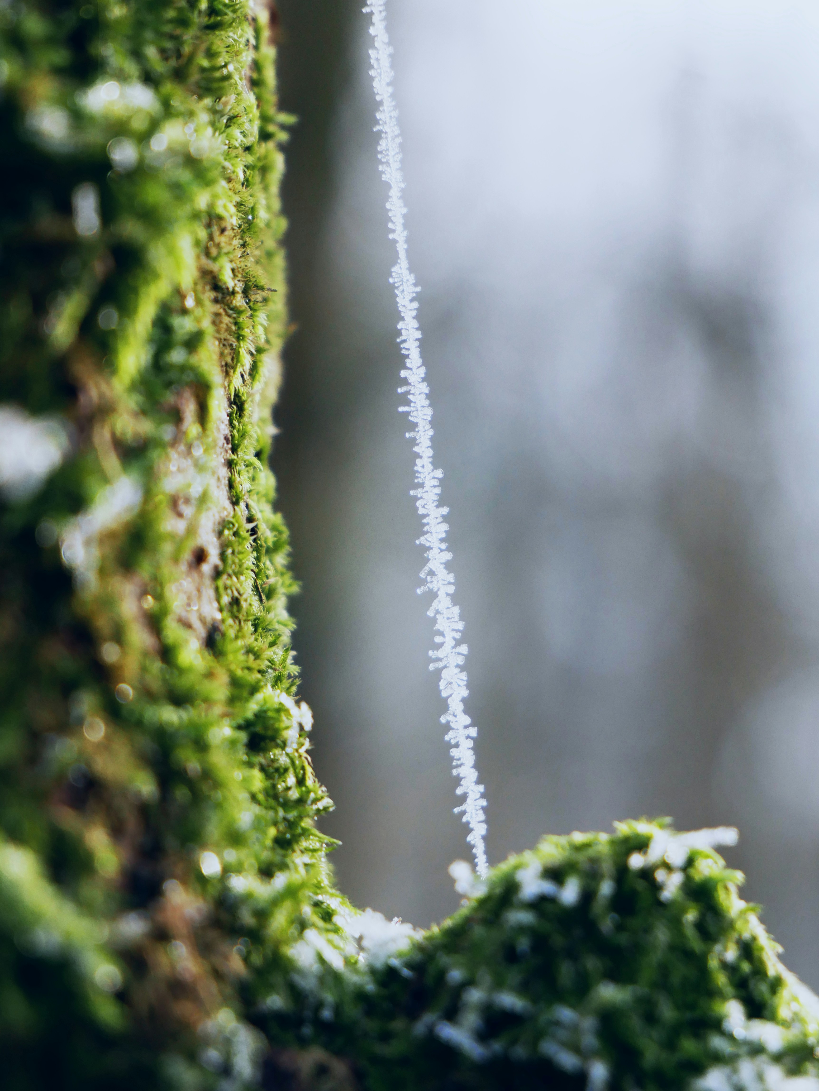 Photo by isabelle_chiara