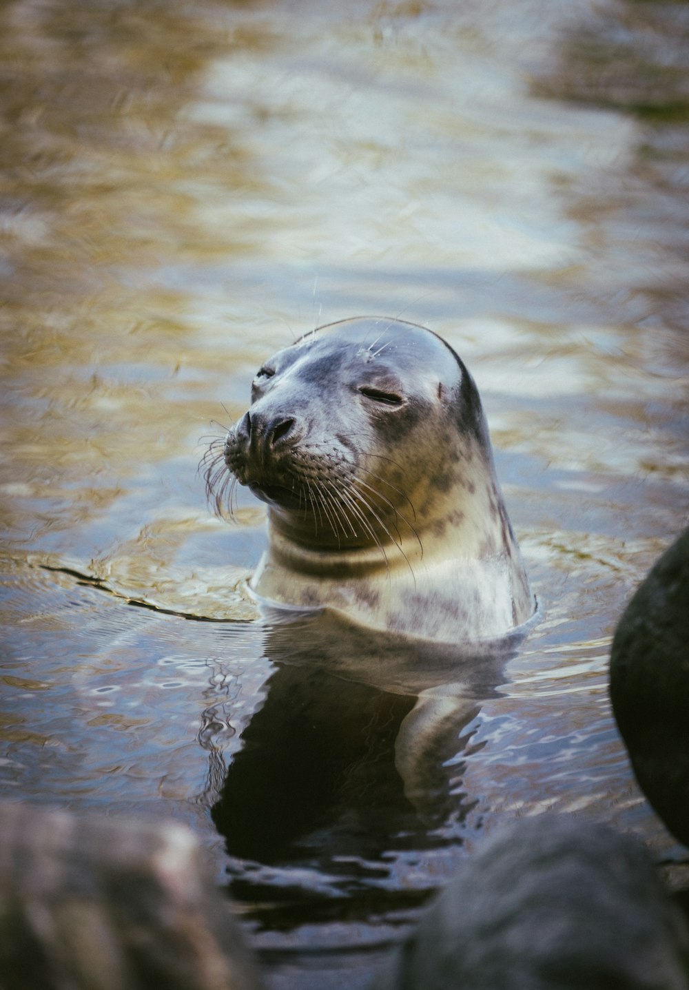 Un joint dans l’eau