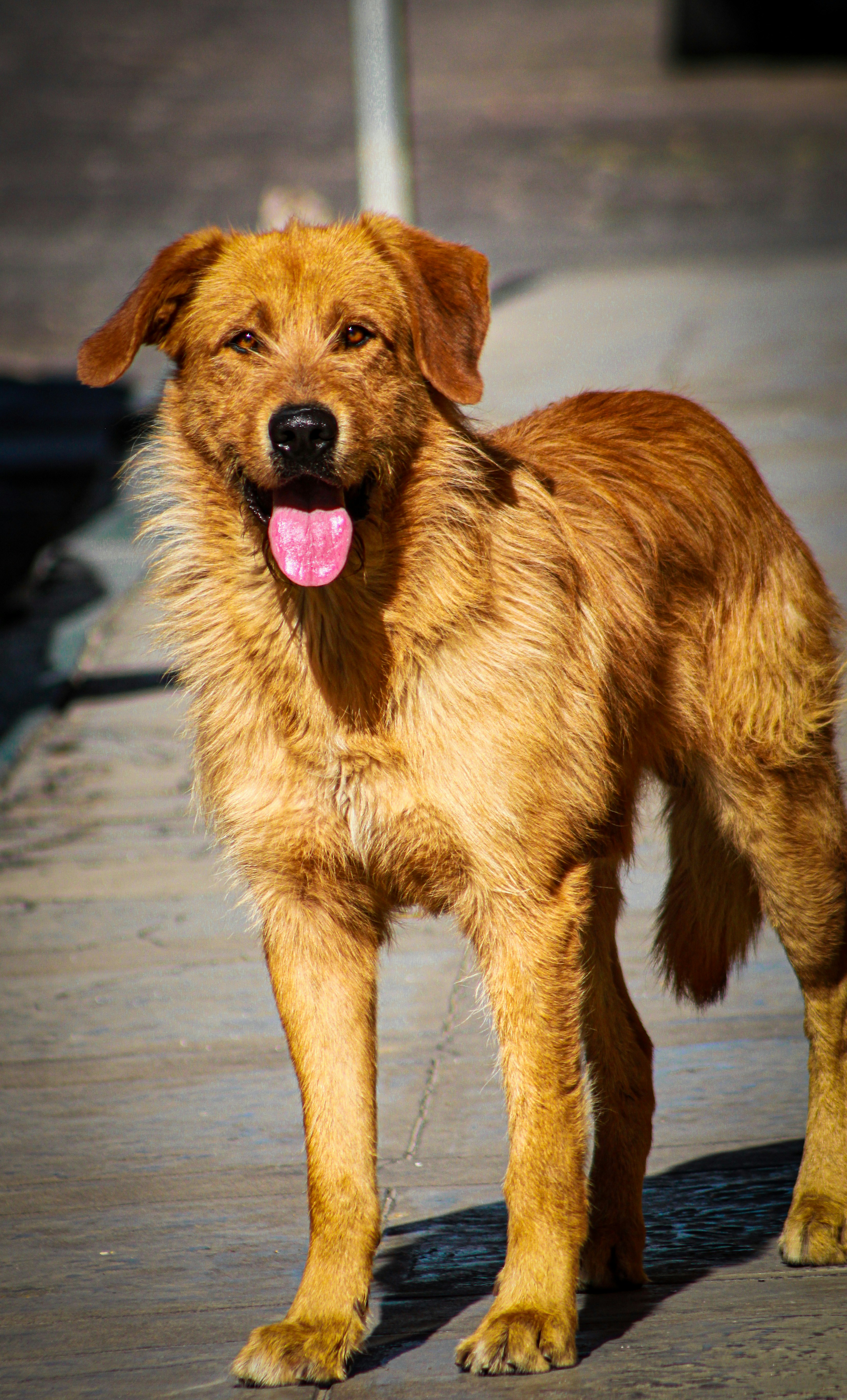 Photo by santiagomitre