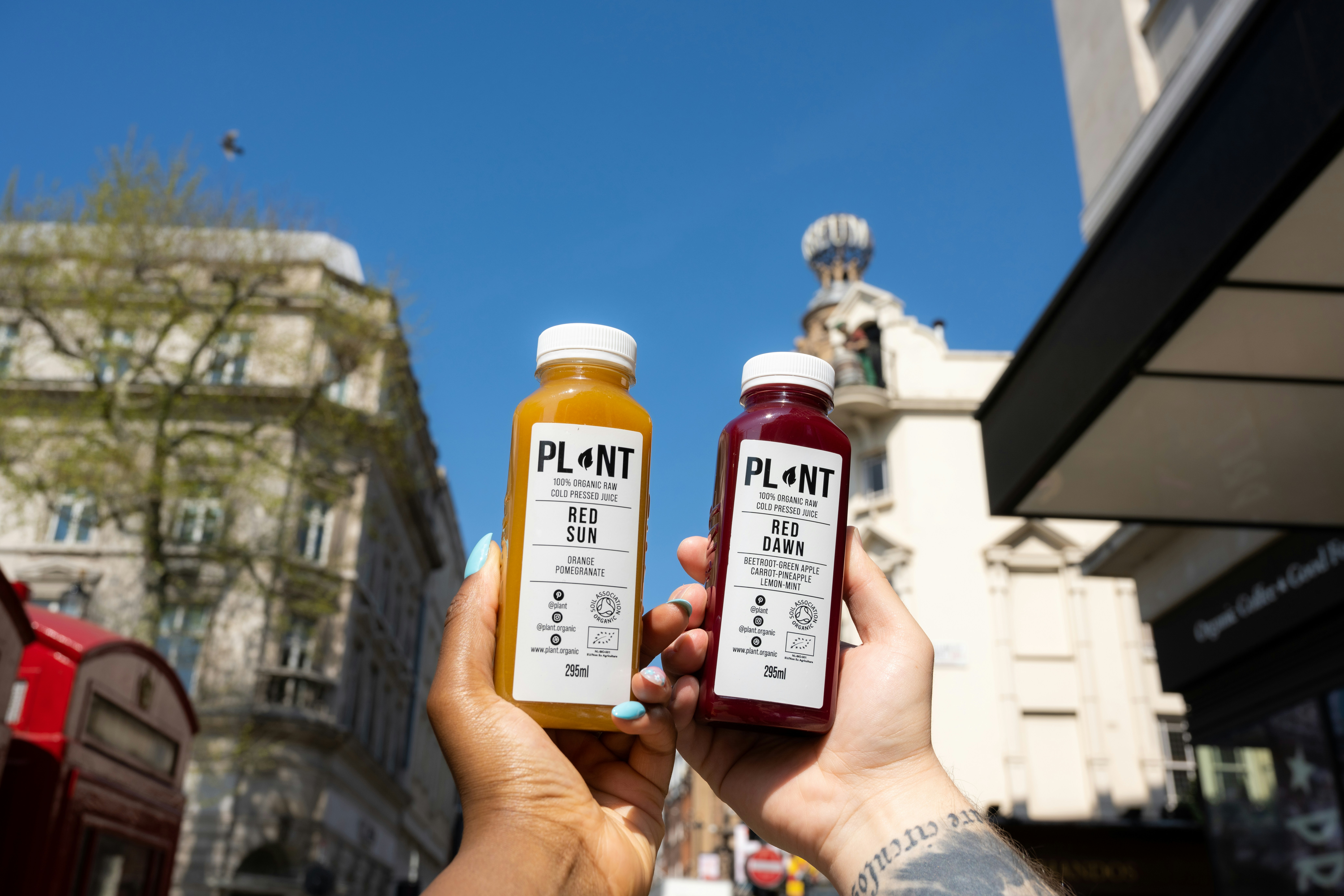 MS Cases Rising Fast in Razavi Khorasan: What You Need to Know