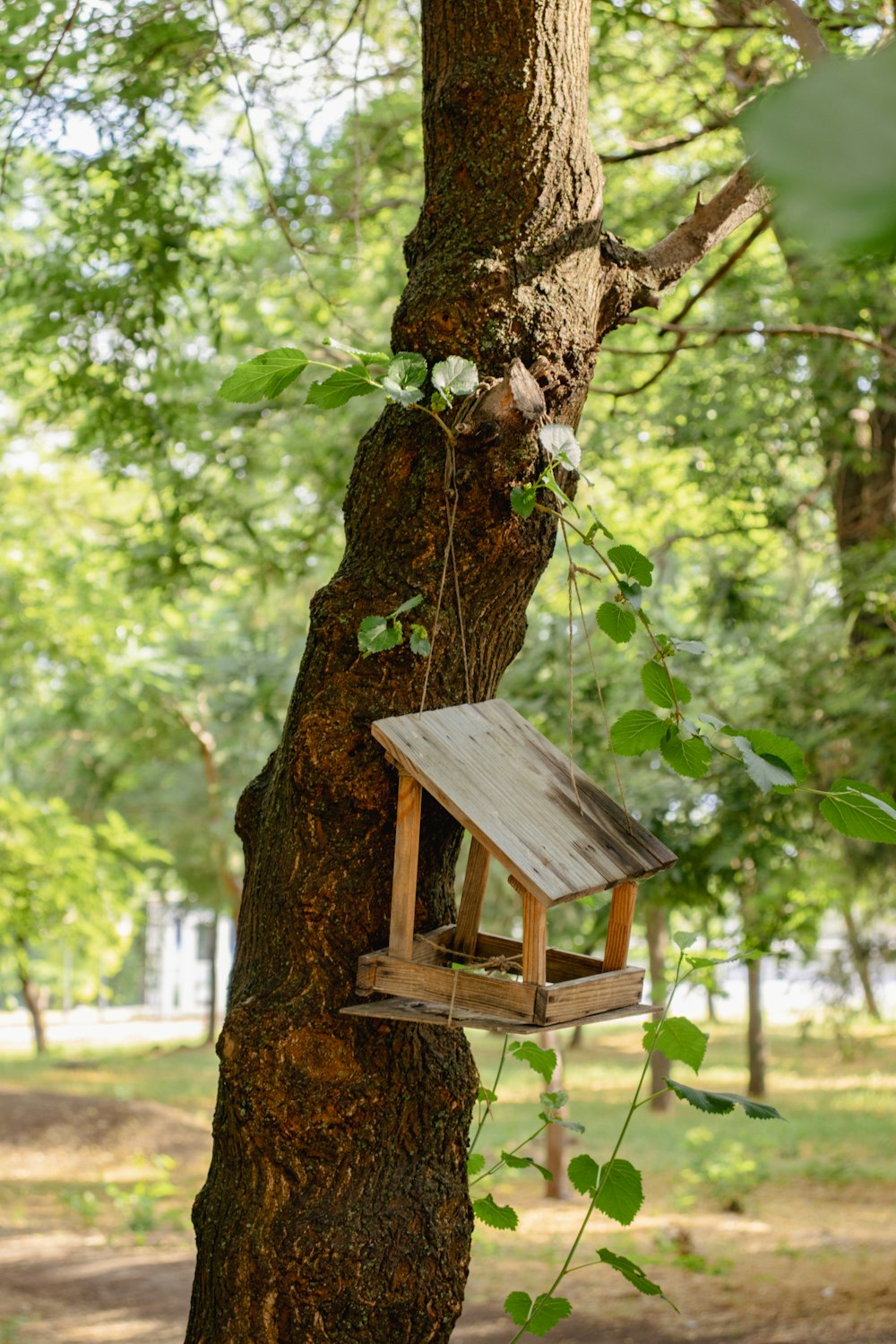 a birdhouse in a tree