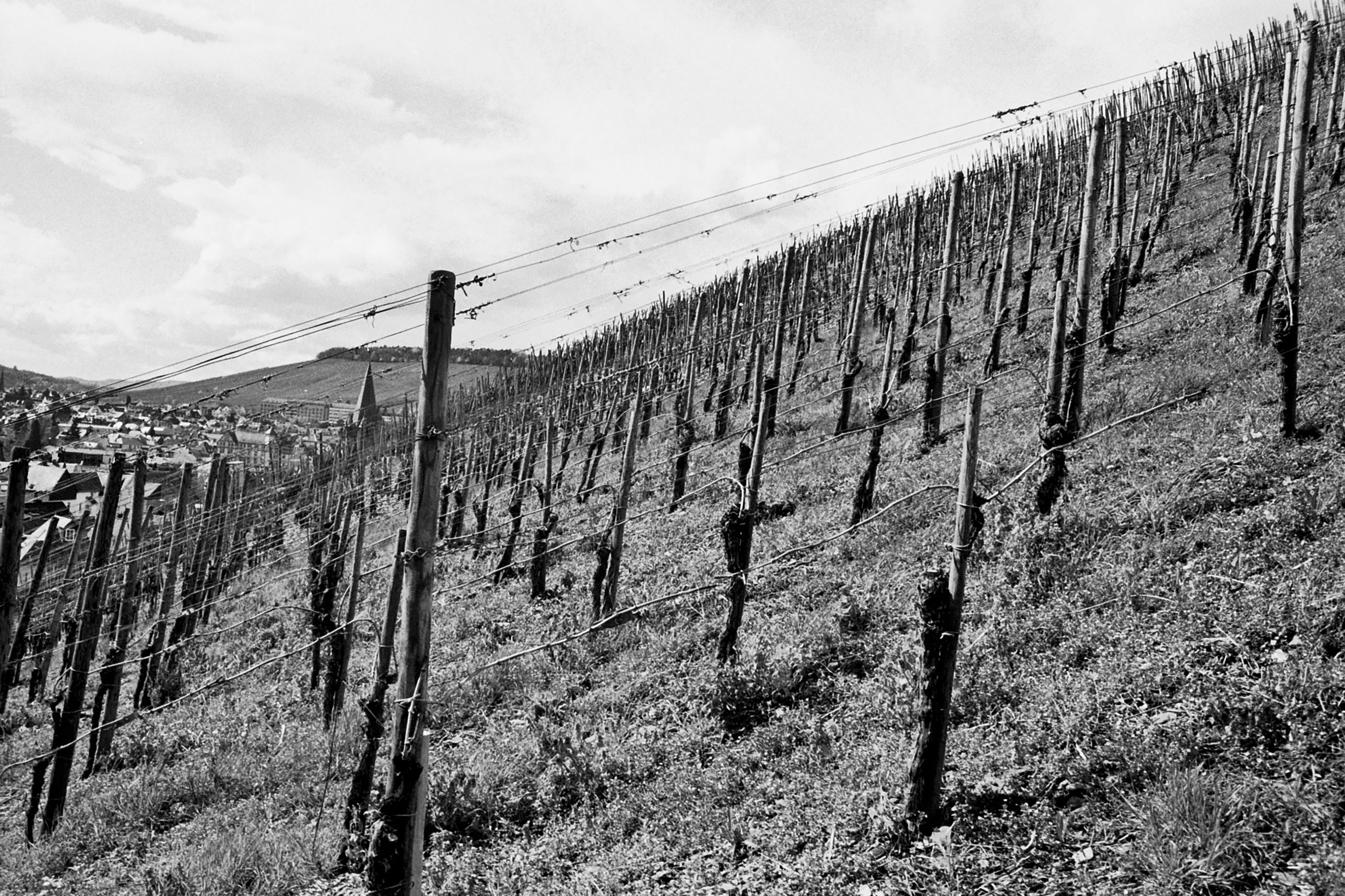 Mosel Valley, Germany — Steep slate, cold river, serious wine