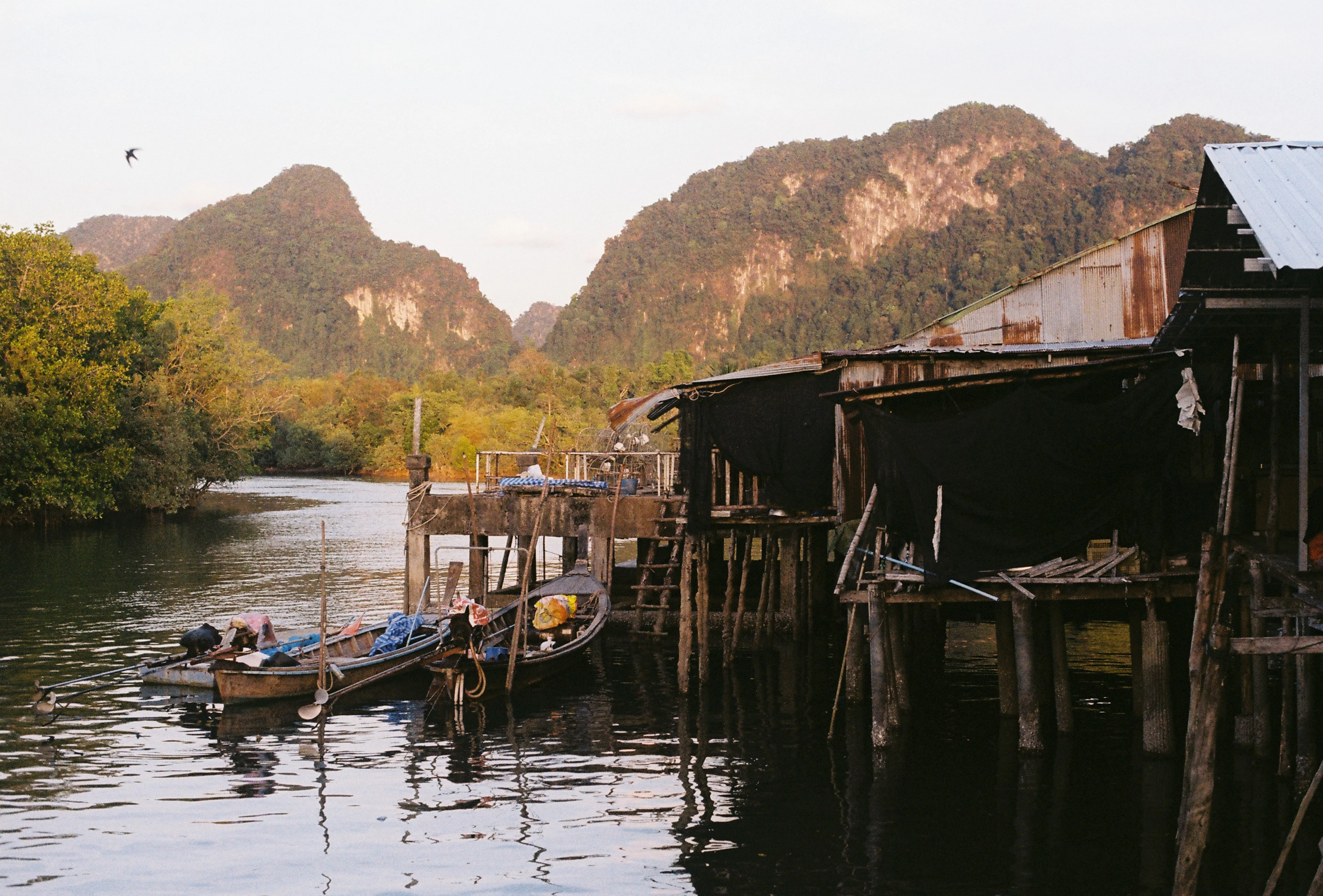A stilt fishing village on the Krabi river at golden hour, weathered tin-roofed houses standing on wooden piles over the water with longtail boats moored beneath and jungle-topped karst peaks rising behind.