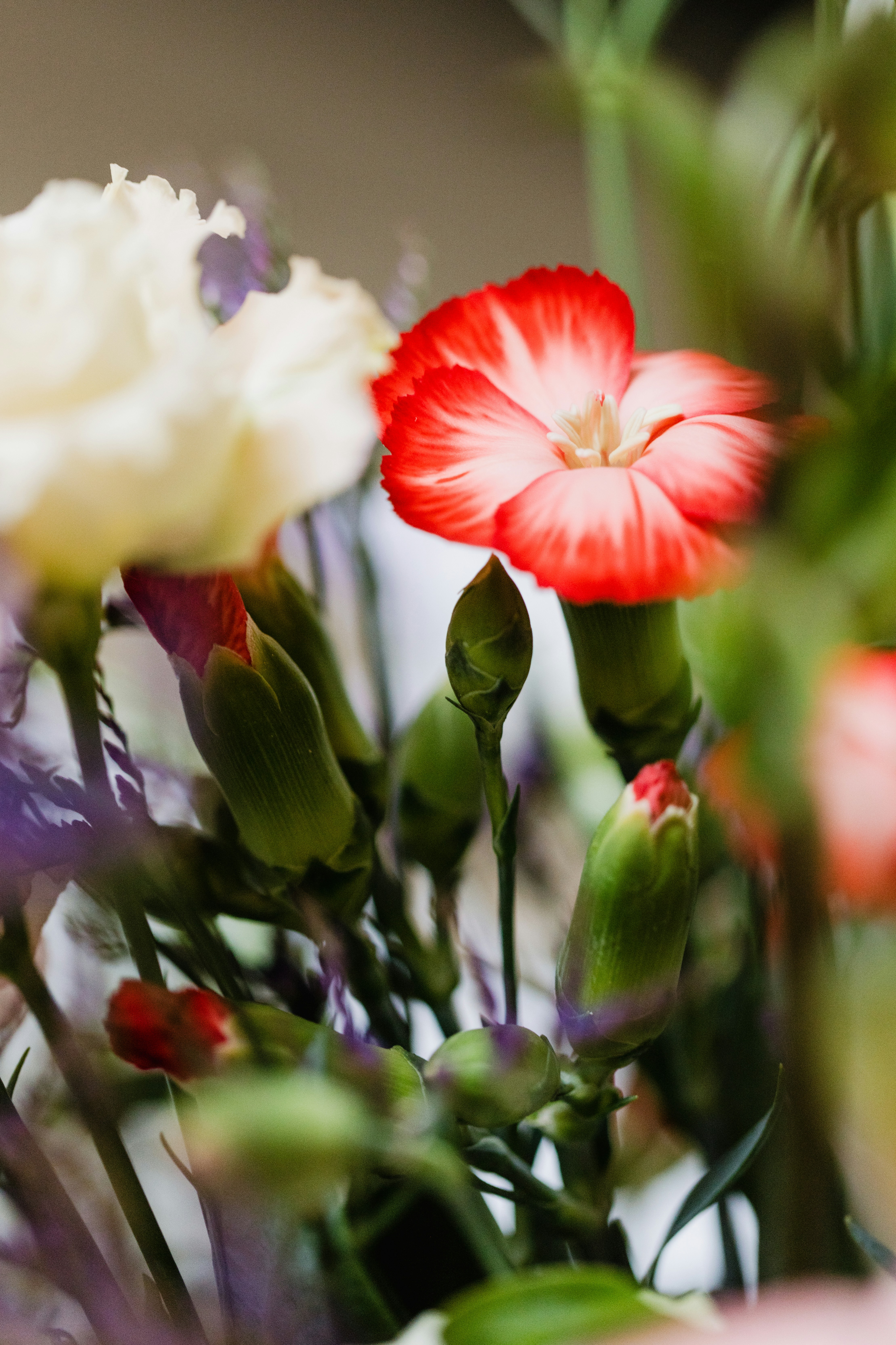 Photo by filipp_roman_photography