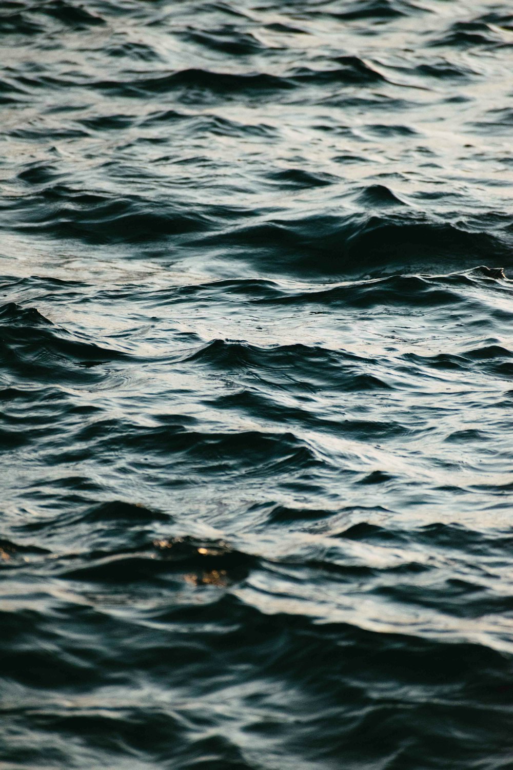 a body of water with waves