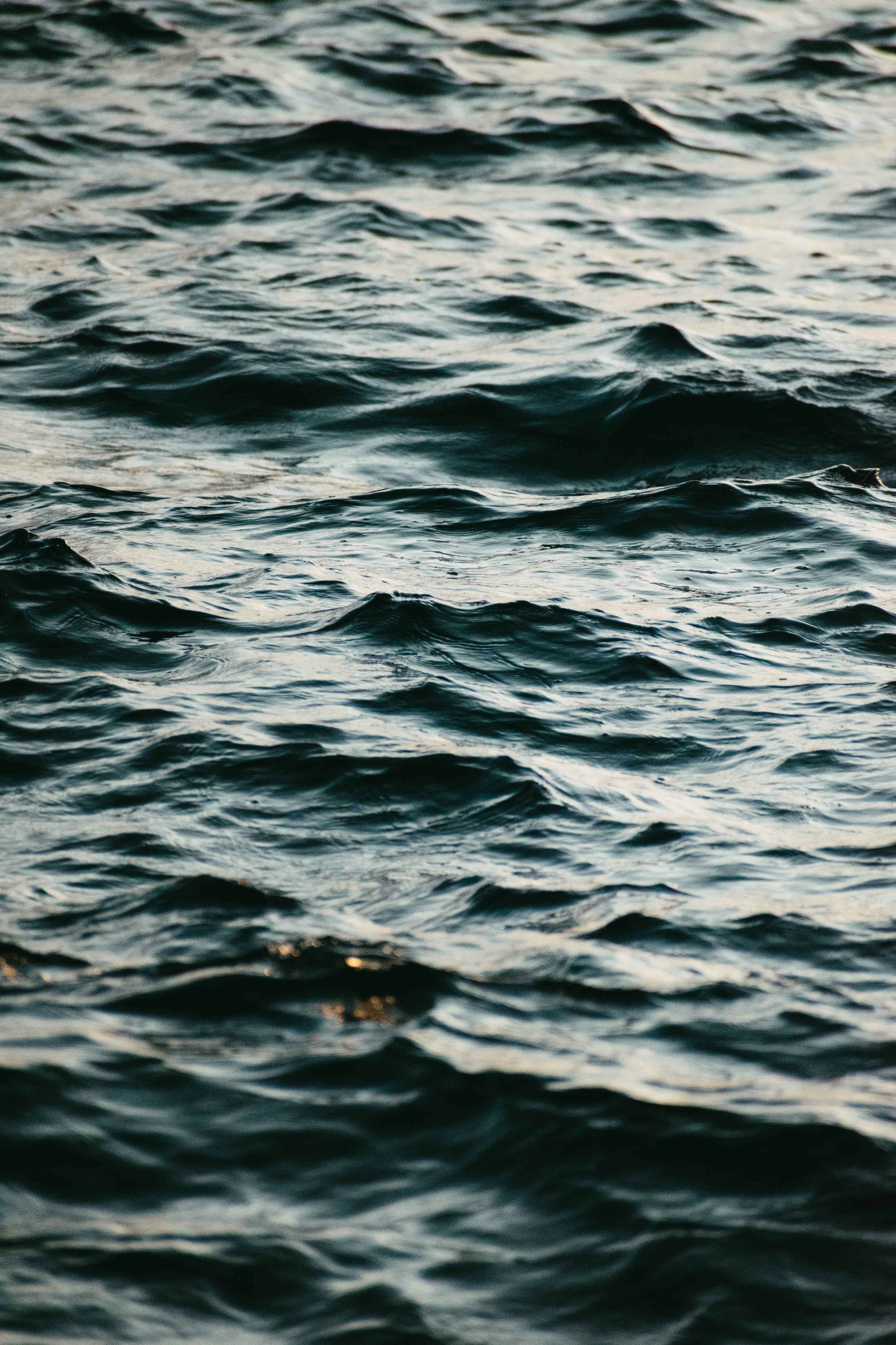 a body of water with waves