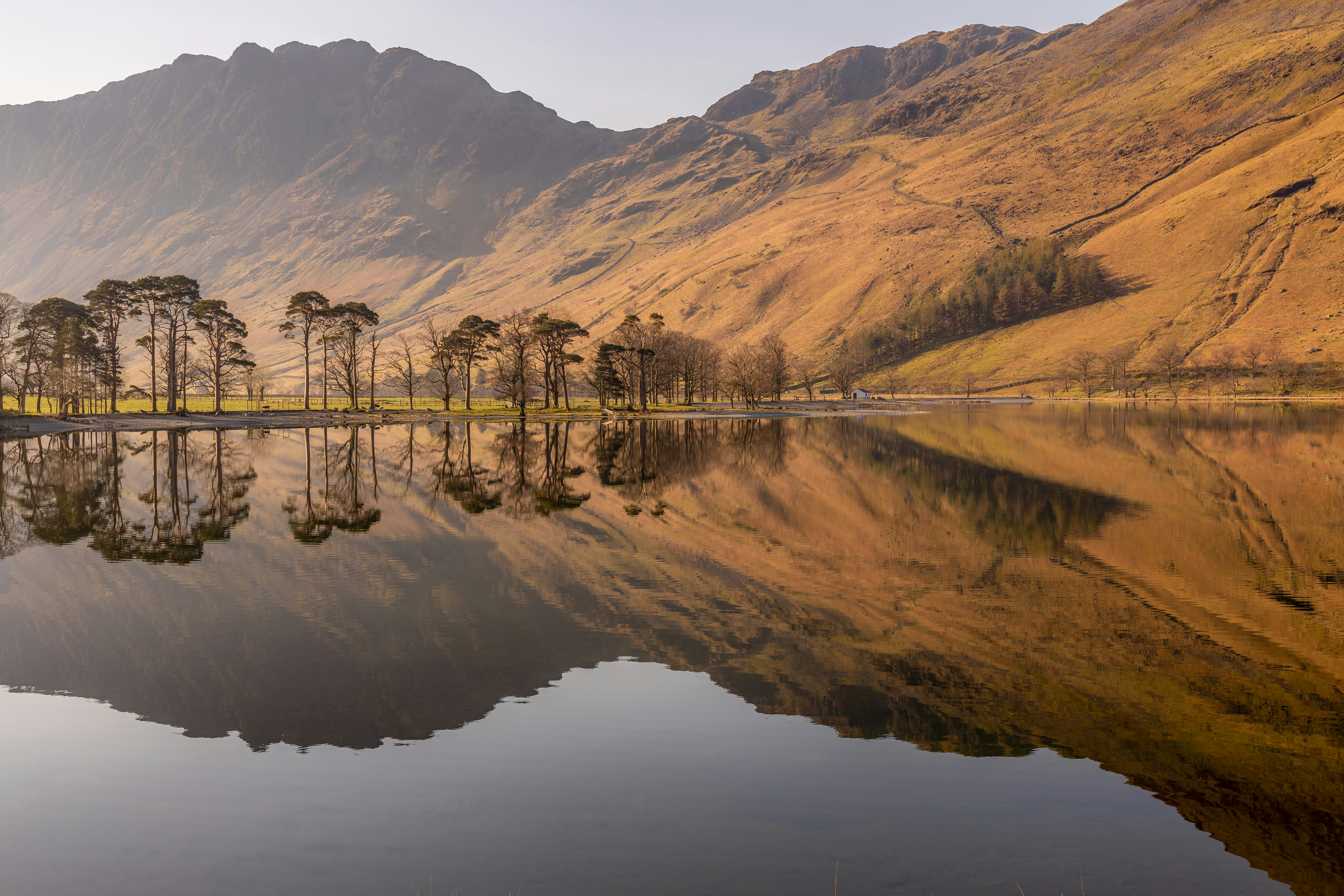 Photo by davidbooth30