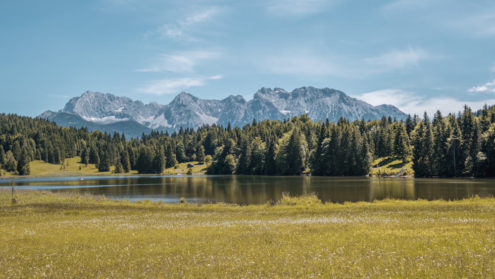 Ein See mit Bäumen und Bergen im Hintergrund