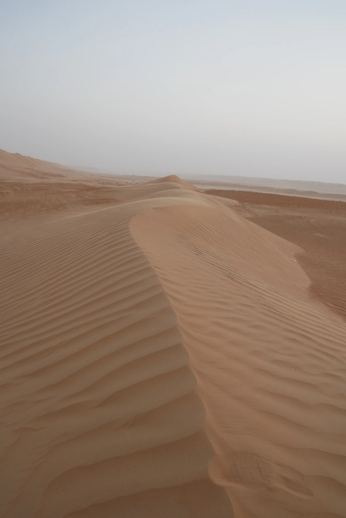 Wahiba Sands