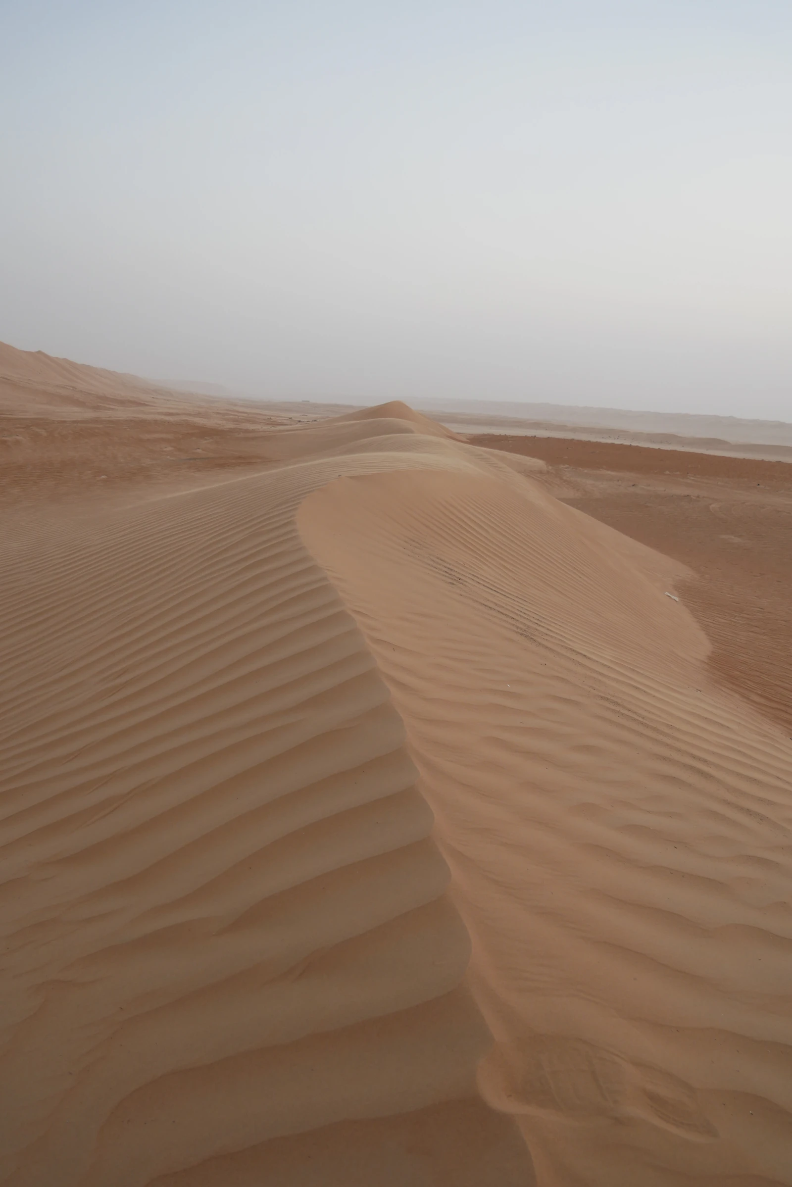 Duqm Rock Garden