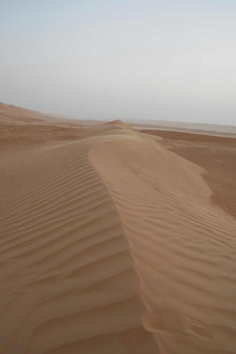 a large desert landscape