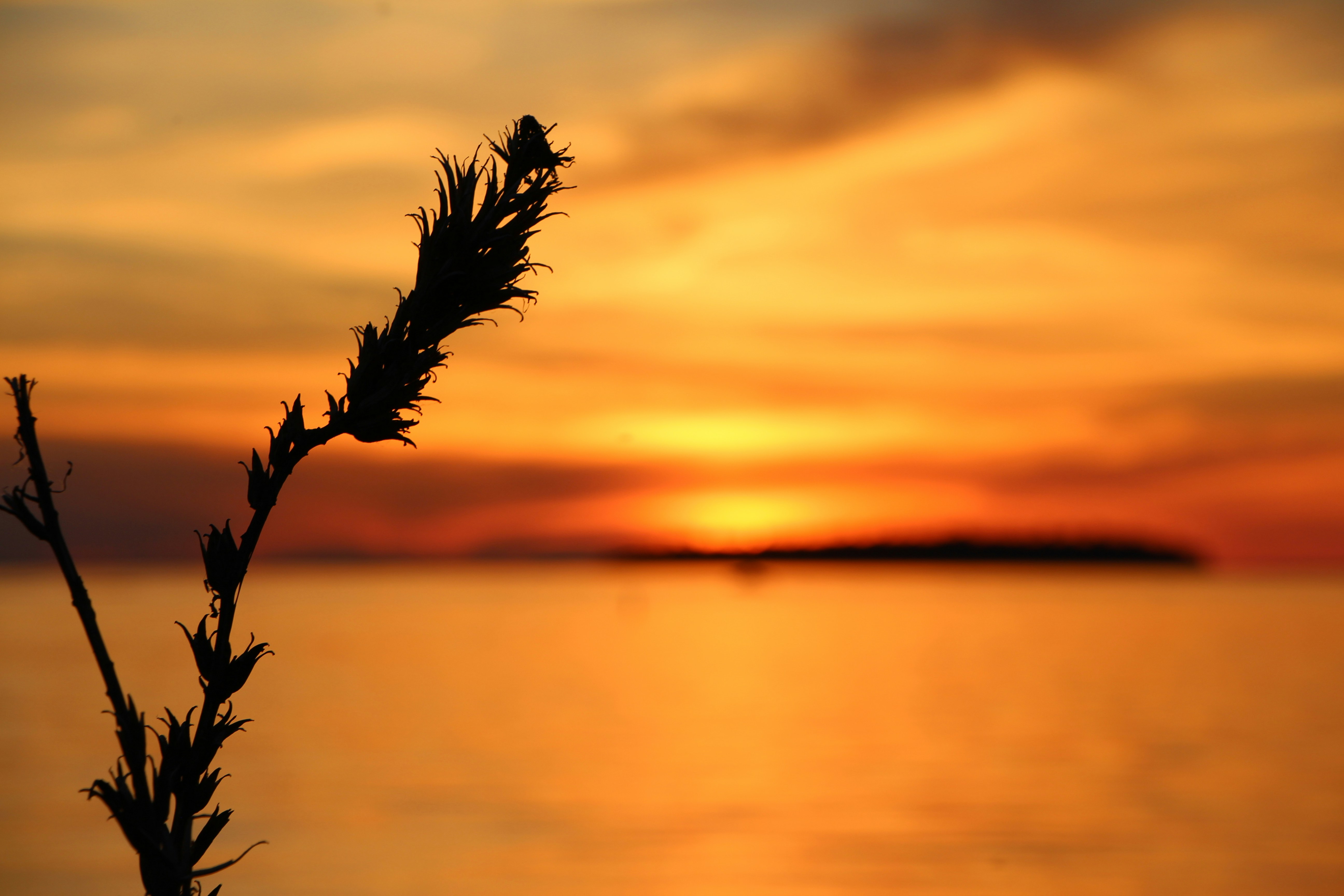 Photo by bridjett_renae_photography