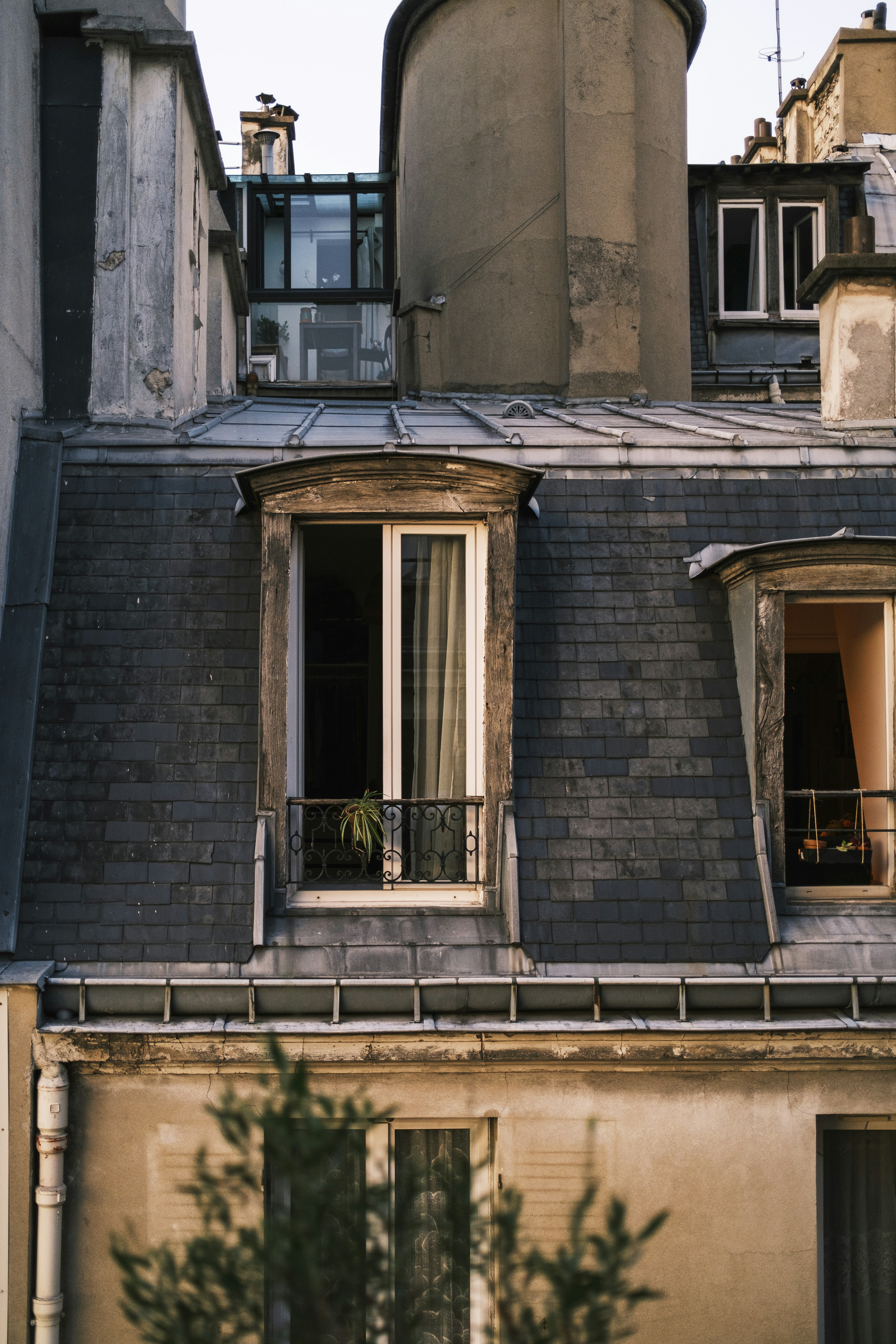 Photo by jose_maria_sava