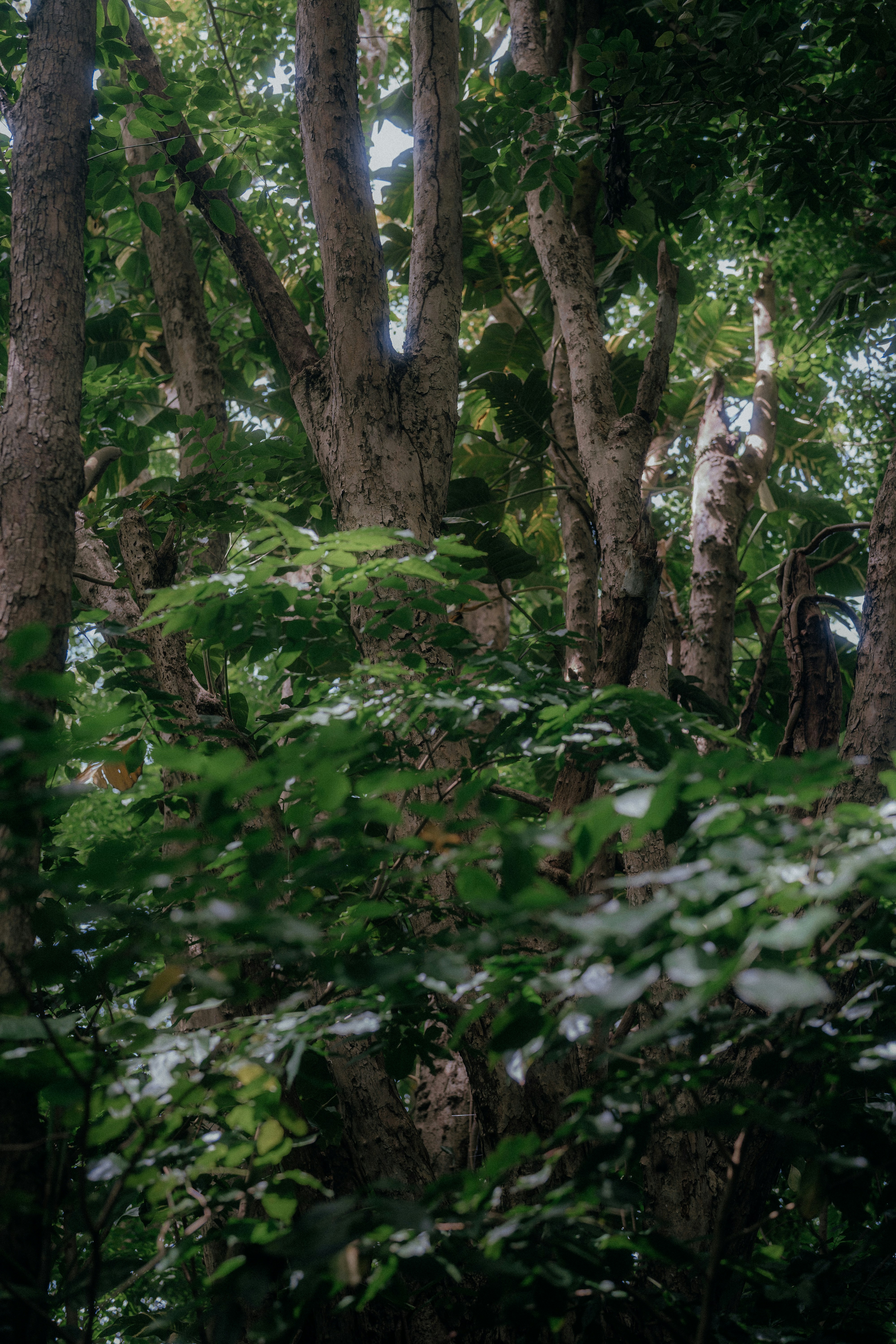 Photo by bettertogether_co