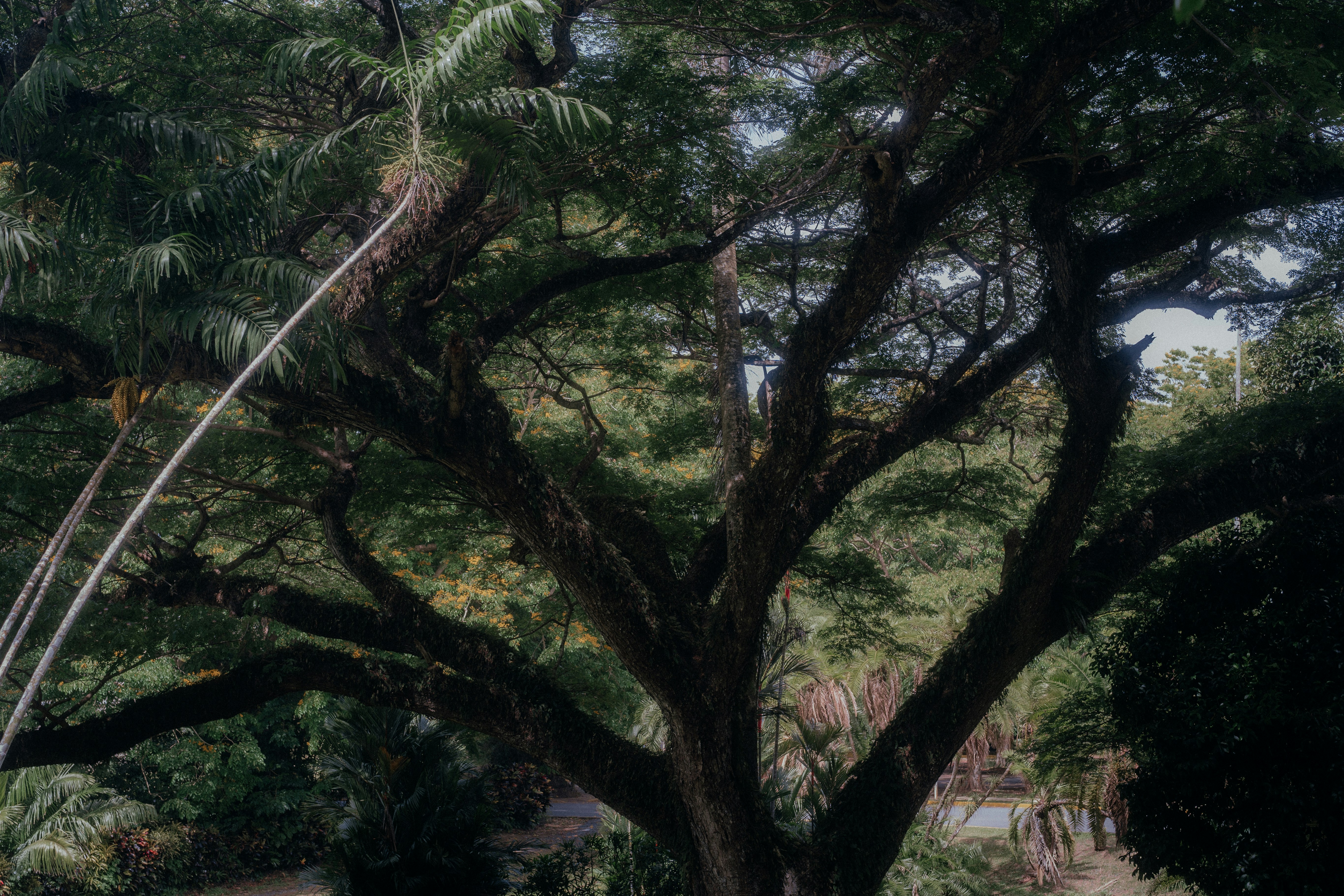 Photo by bettertogether_co